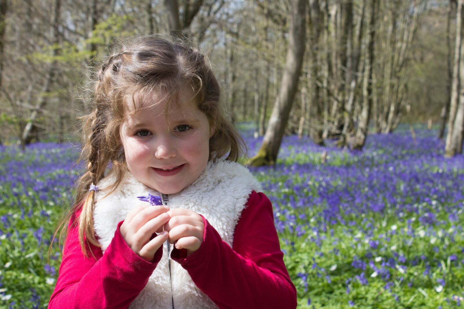 Canon EOS 600D (Rebel EOS T3i / EOS Kiss X5) sample photo. Bluebells, woods, english photography