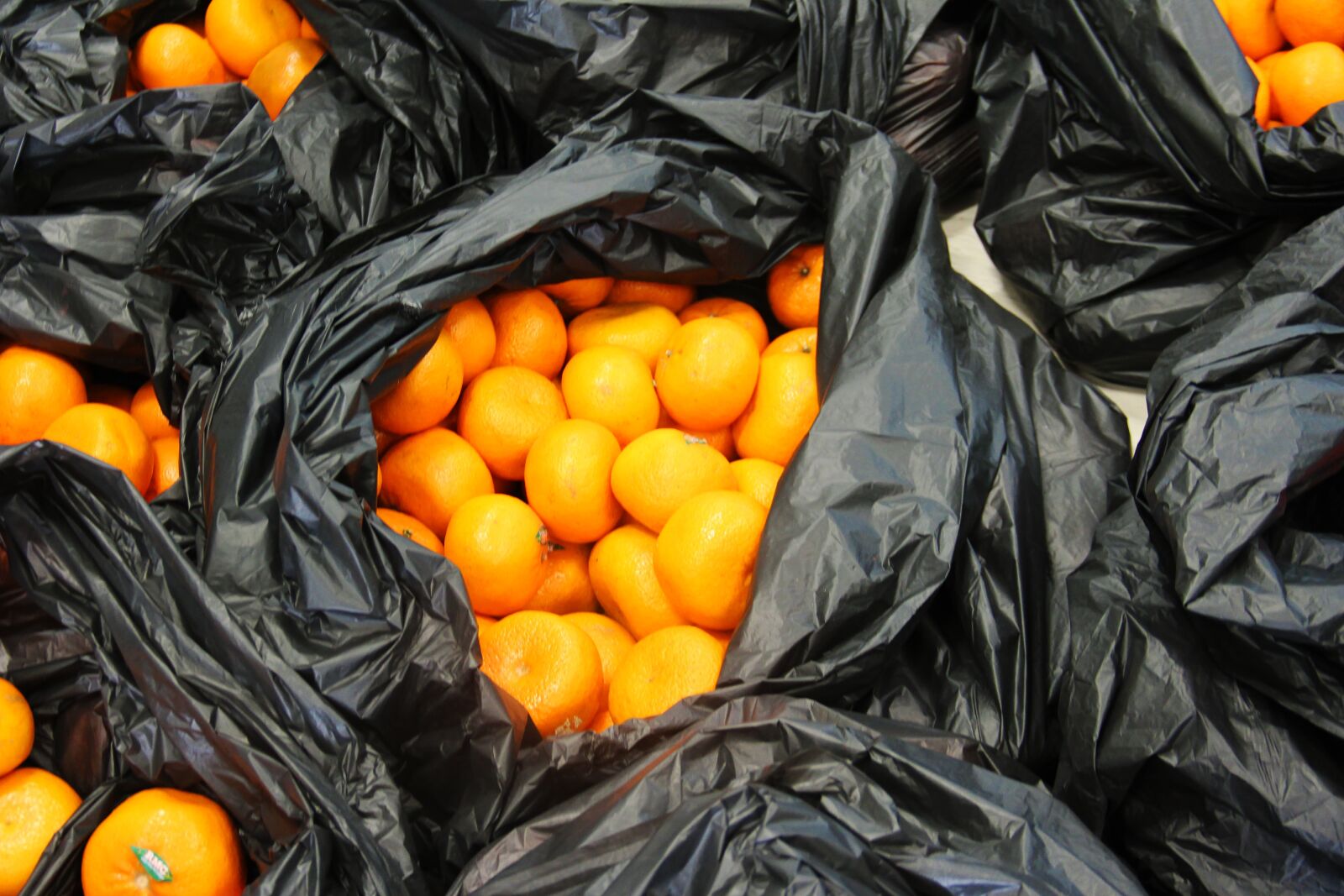 Canon EOS 600D (Rebel EOS T3i / EOS Kiss X5) sample photo. Orange, fruits, healthy photography