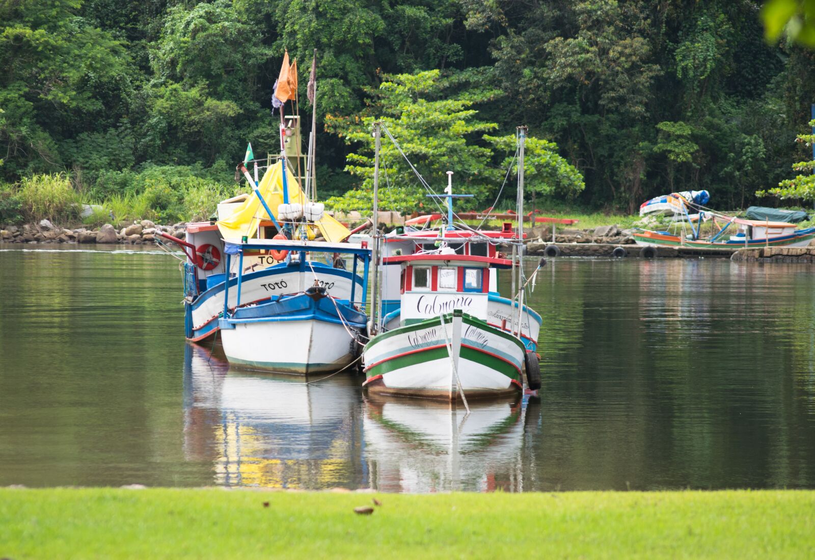 Nikon D3300 sample photo. Boats, grass, green photography