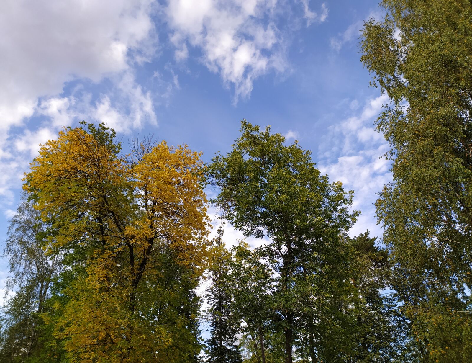 Xiaomi Redmi Note 8T sample photo. Russia, autumn, park photography