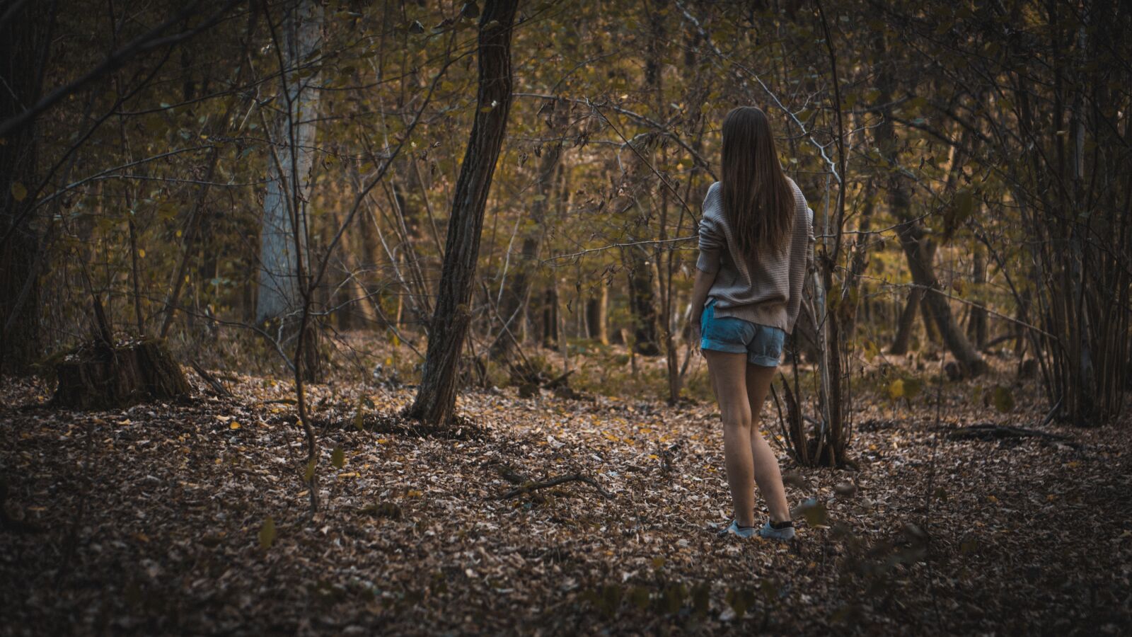 Sony a6300 sample photo. Forest, girl, hiking photography