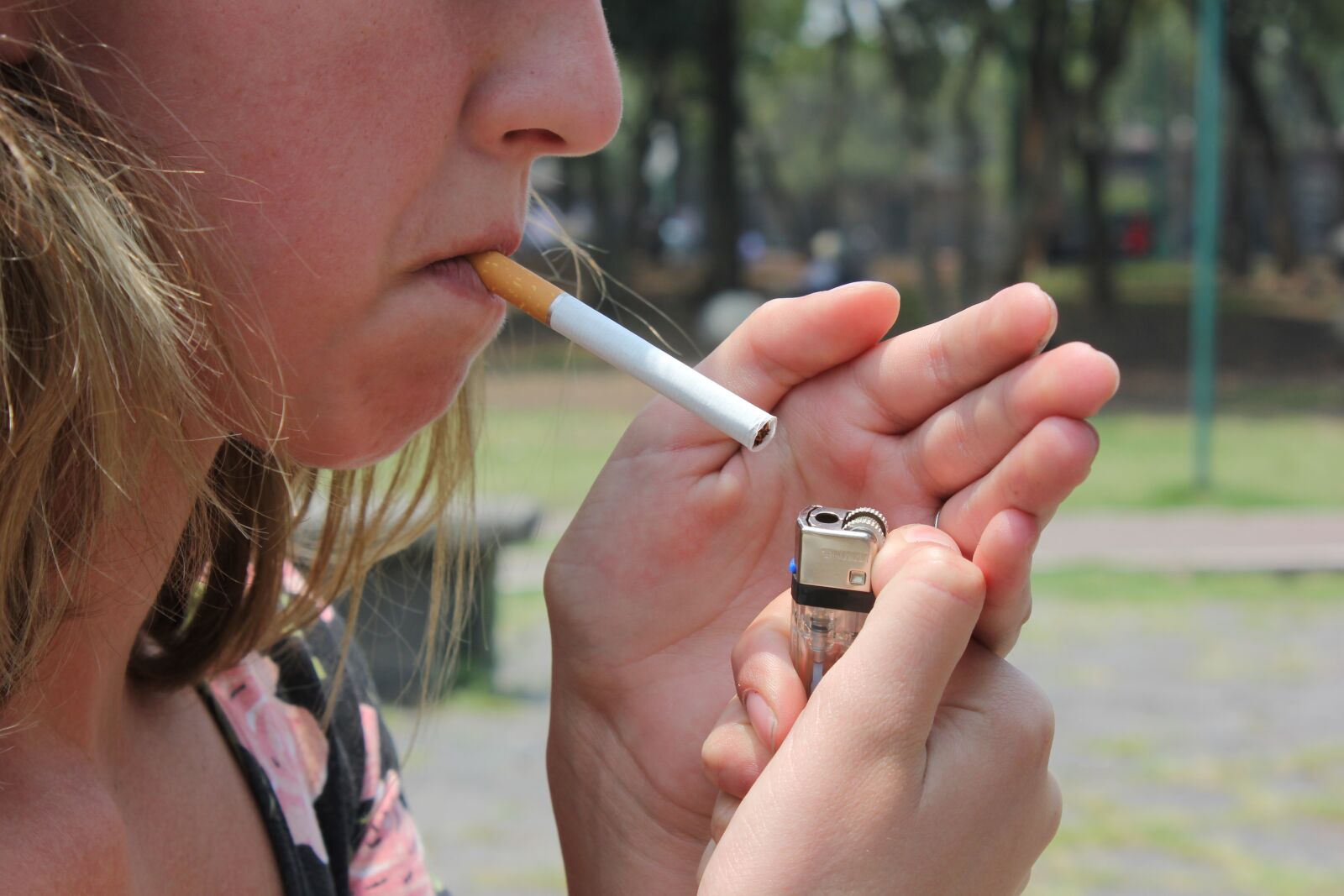 Canon EOS 550D (EOS Rebel T2i / EOS Kiss X4) sample photo. Tobacco, cigar, smoking photography