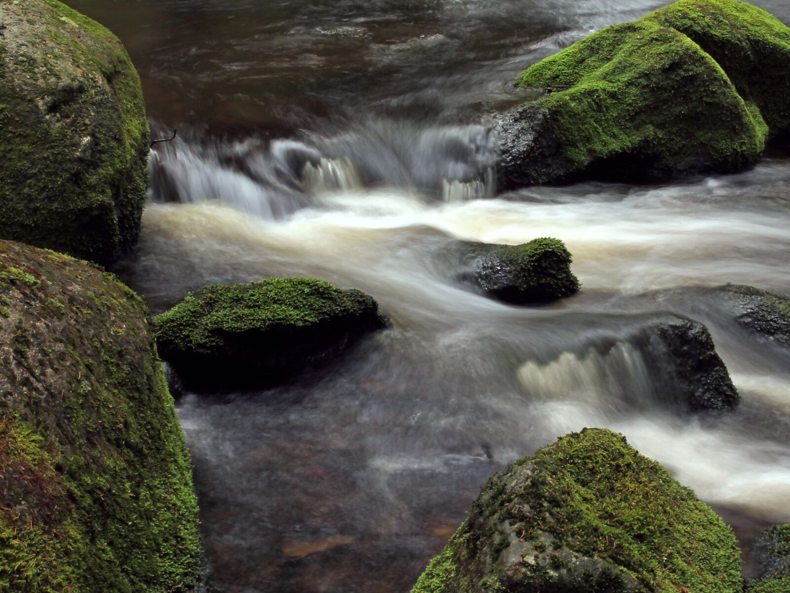 Canon EOS 1100D (EOS Rebel T3 / EOS Kiss X50) sample photo. River, moss, stones photography