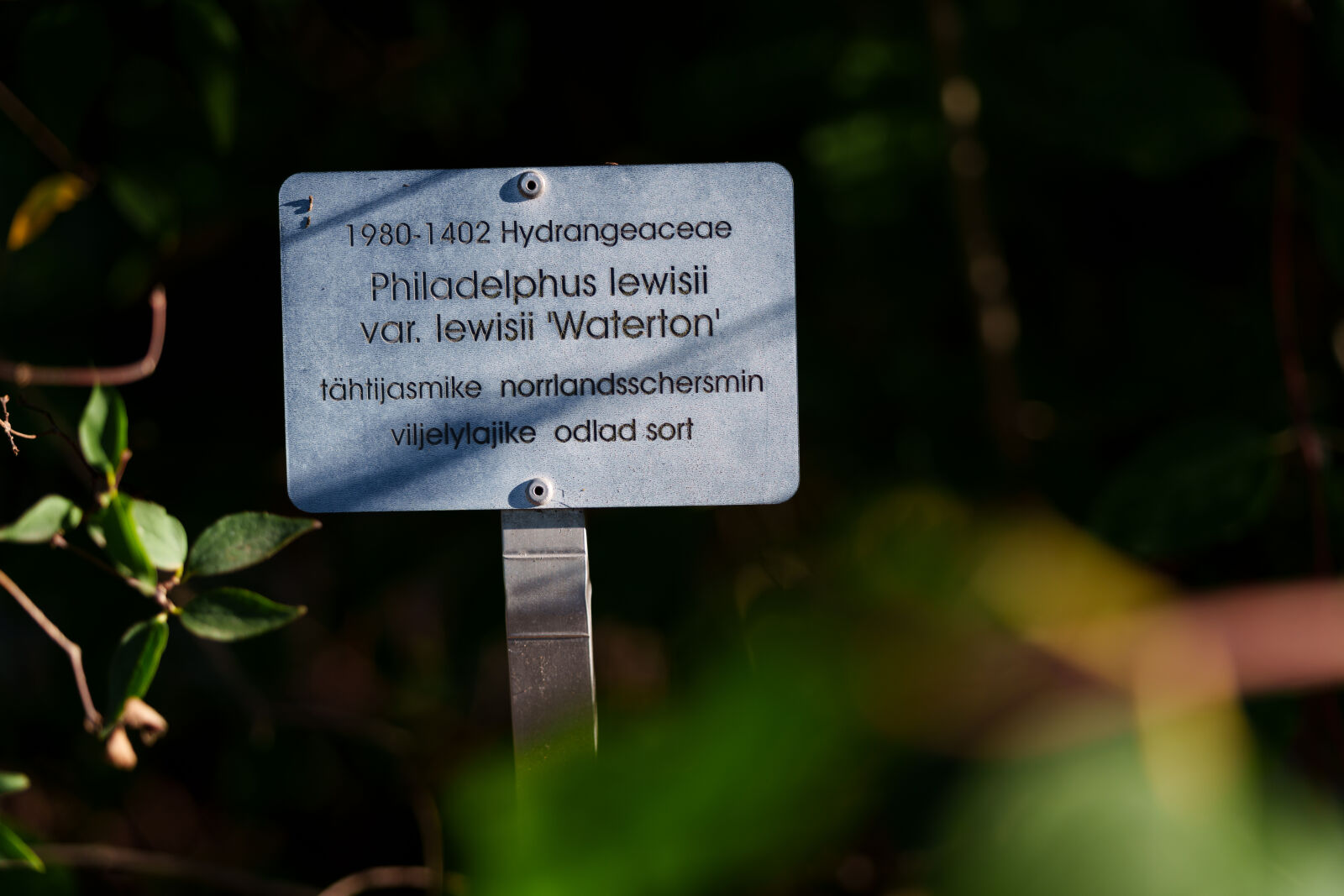 Sigma 28-105mm F2.8 DG DN | Art sample photo. Sign at the garden photography