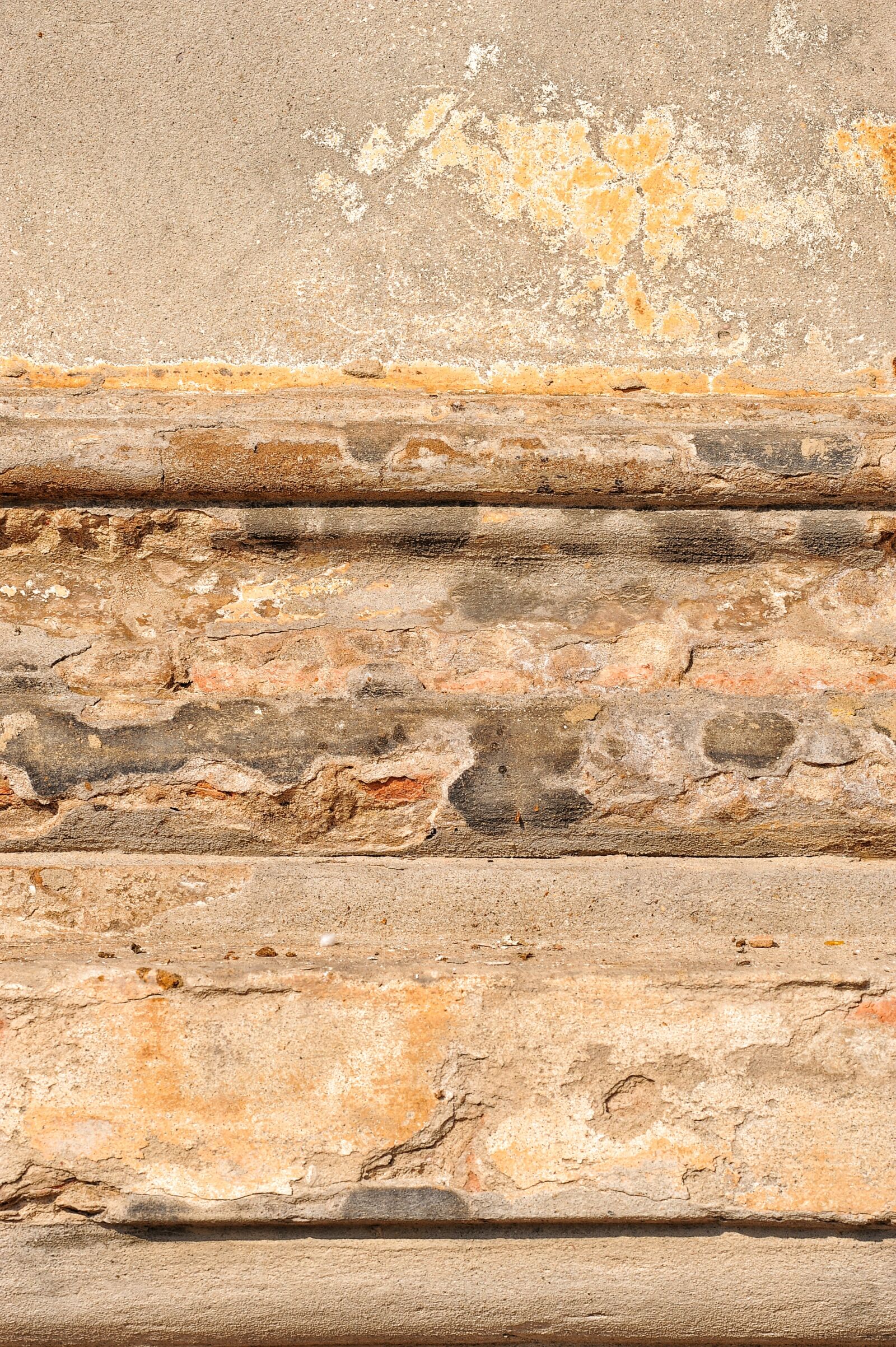 Nikon D700 sample photo. Wall, color, texture photography