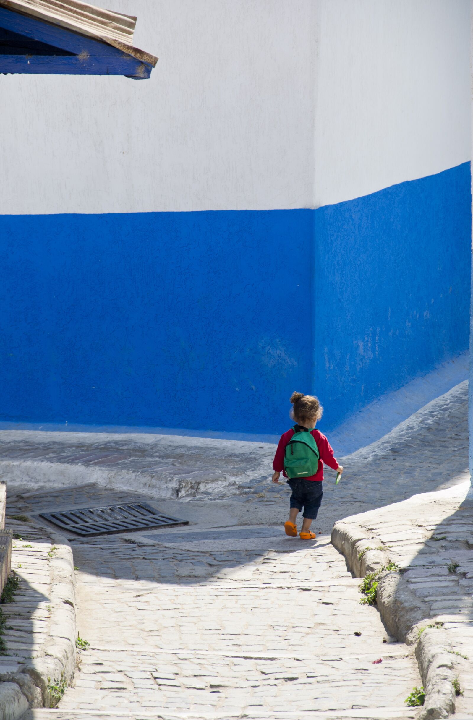 Nikon D3100 sample photo. Blue, school, future photography
