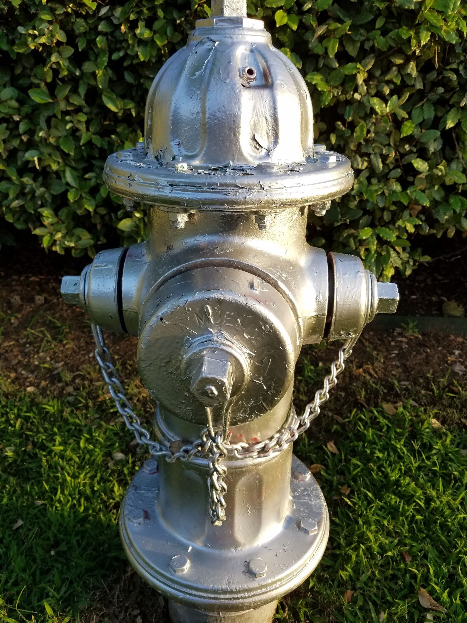 Samsung Galaxy S7 Edge sample photo. Fire hydrant, hydrant, public photography