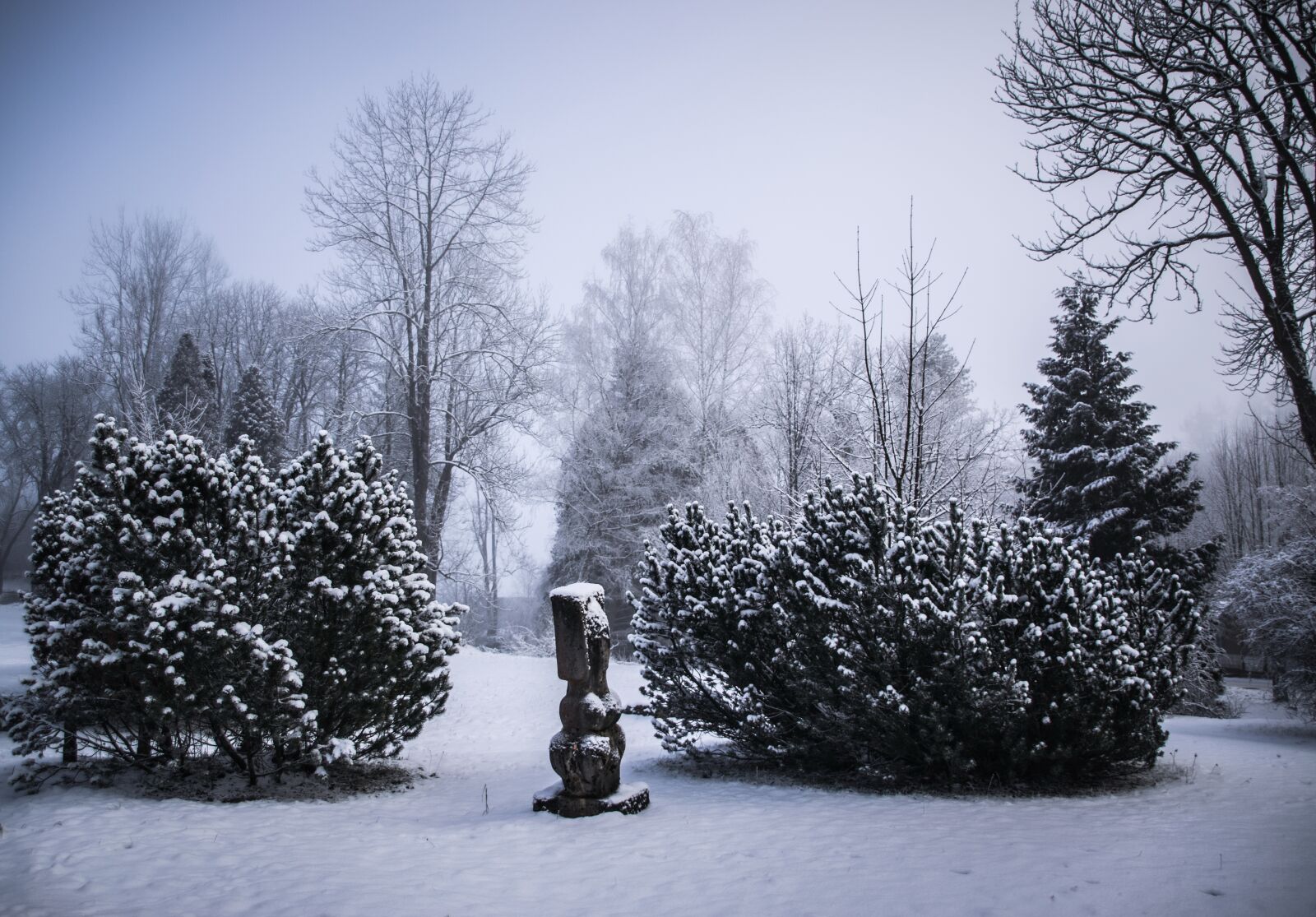 Nikon D5300 sample photo. Winter park, statue, park photography