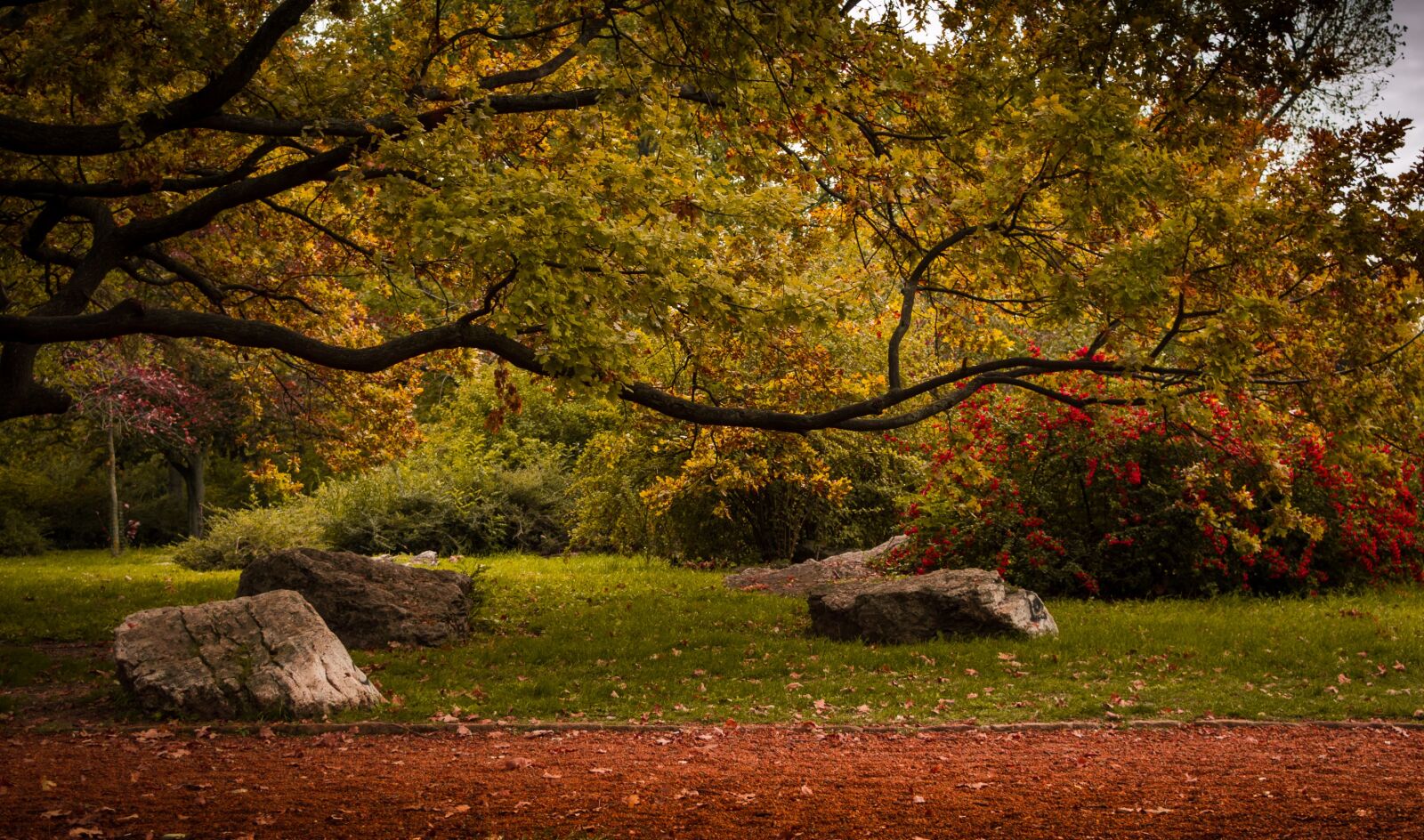 Nikon D3200 sample photo. Park, budapest, autumn photography