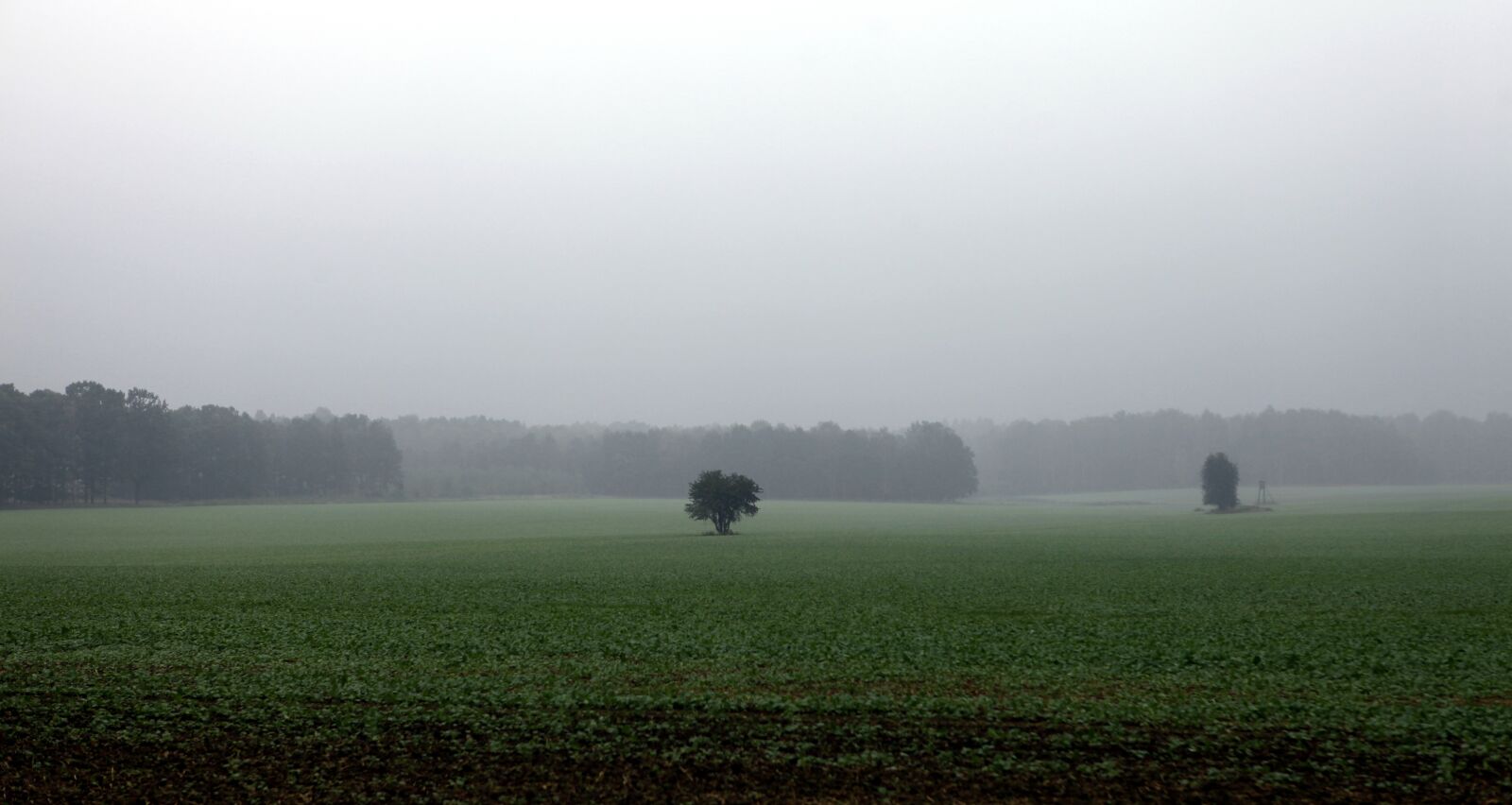 Canon EOS 5D Mark II sample photo. Fields, autumn, rainy photography