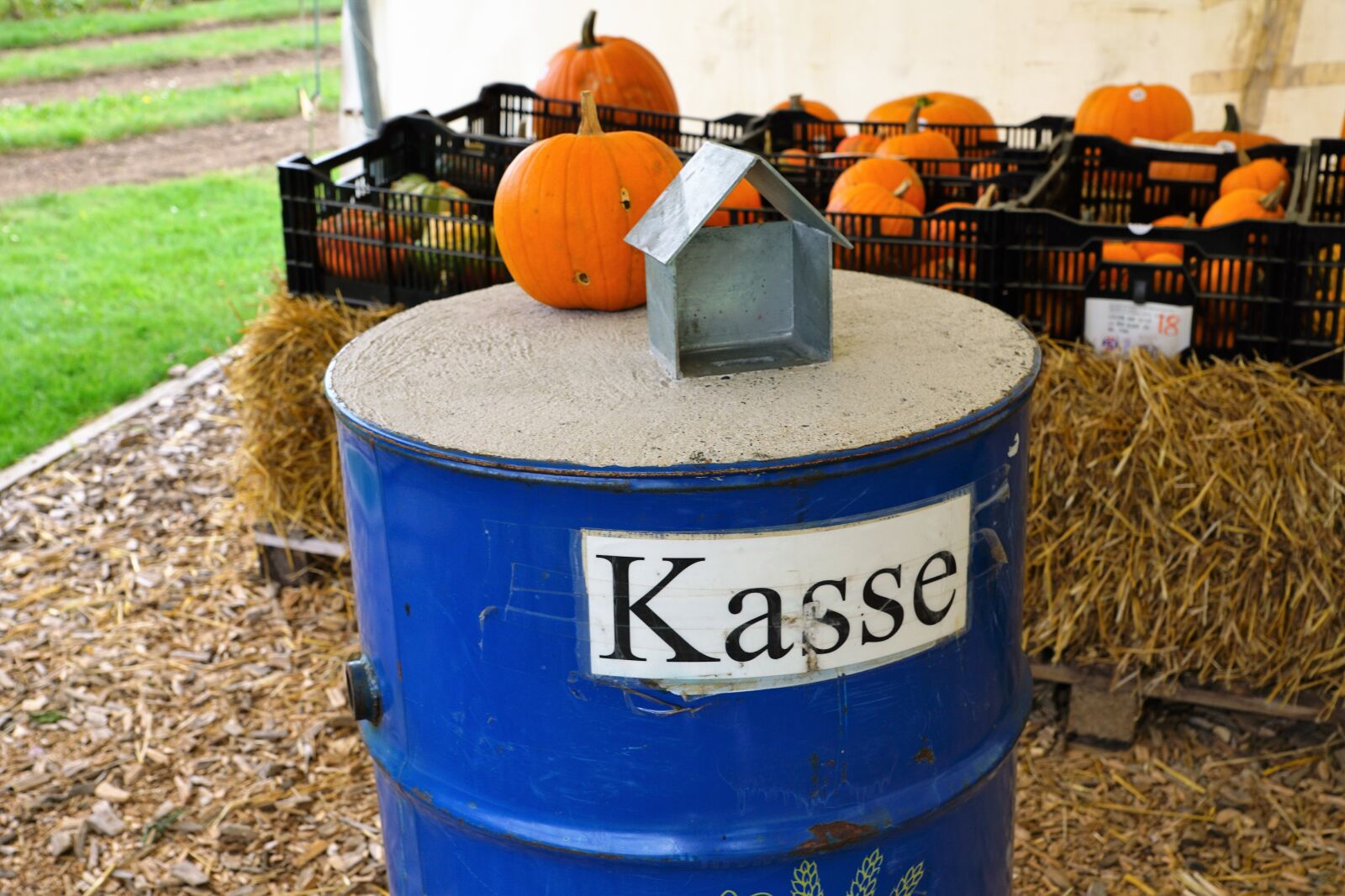 Sony ILCA-77M2 + Sony DT 16-50mm F2.8 SSM sample photo. Pumpkins, vegan, healthy photography
