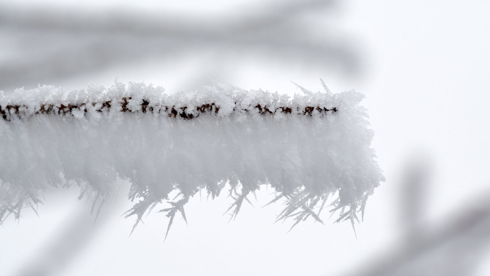 Nikon D5200 sample photo. Eiskristalle, winter, fence photography