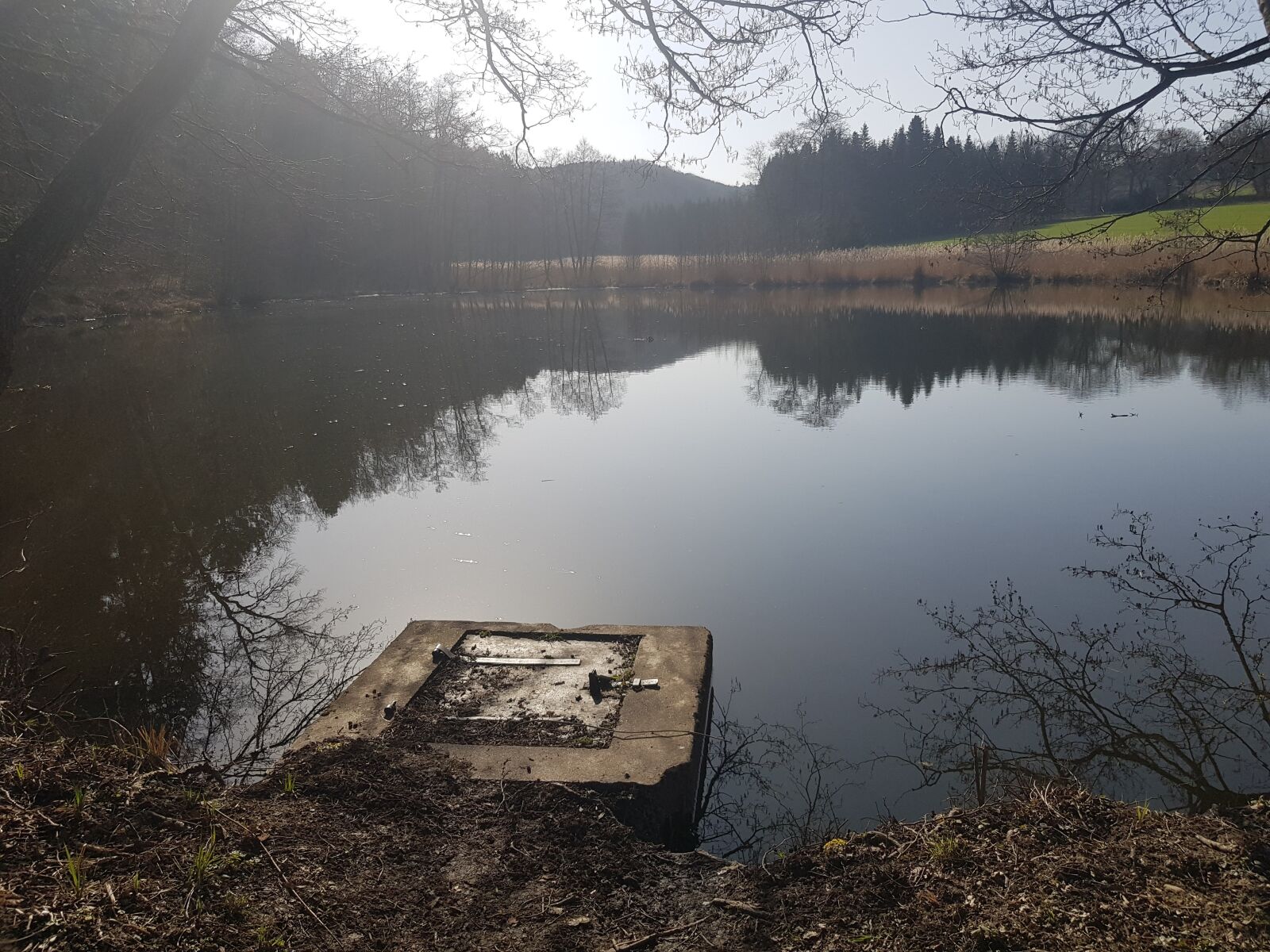 Samsung SM-N950F sample photo. Bavaria, nature, lake photography