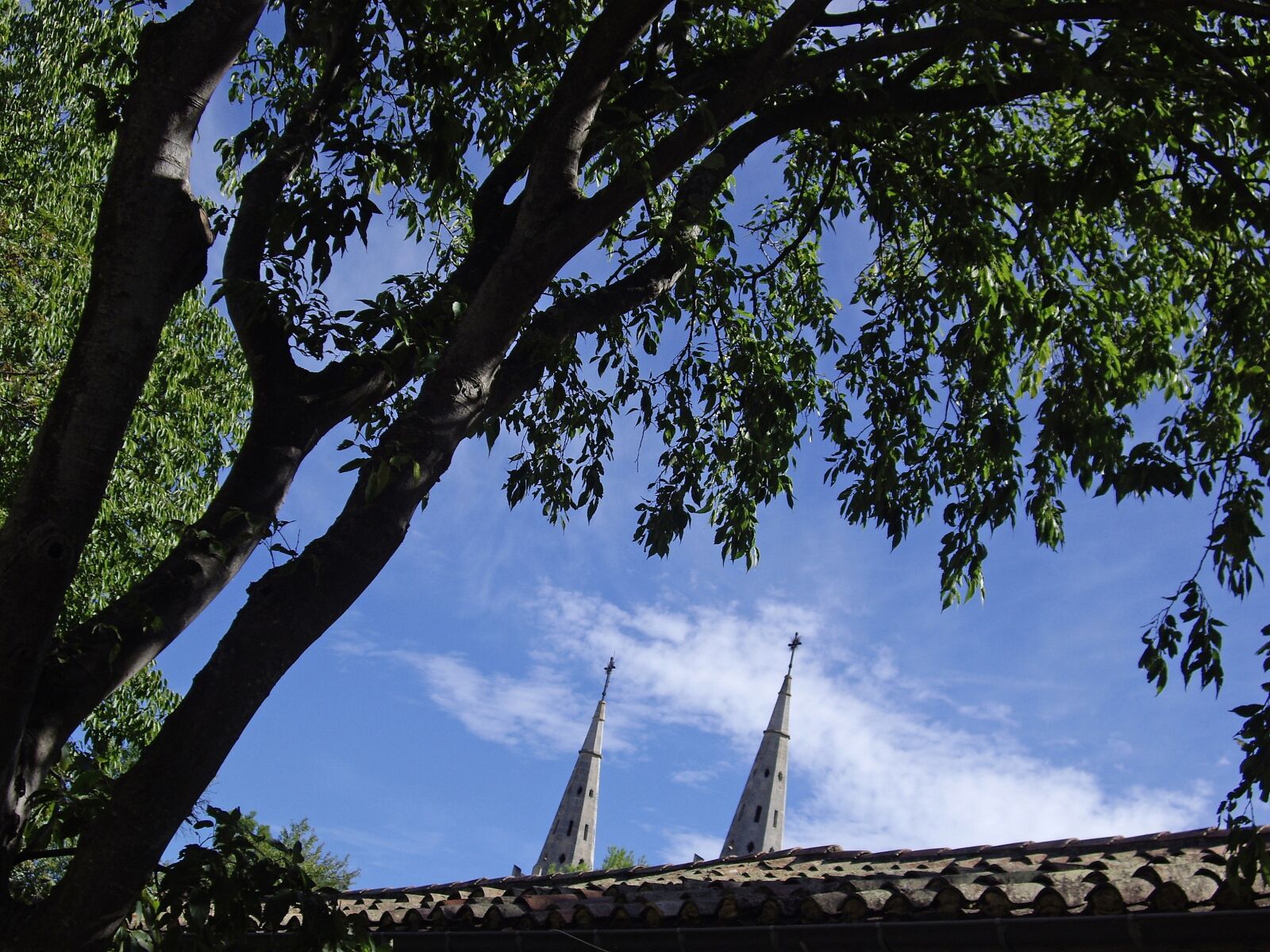Pentax OPTIO A10 sample photo. Abbey, sky, roof photography