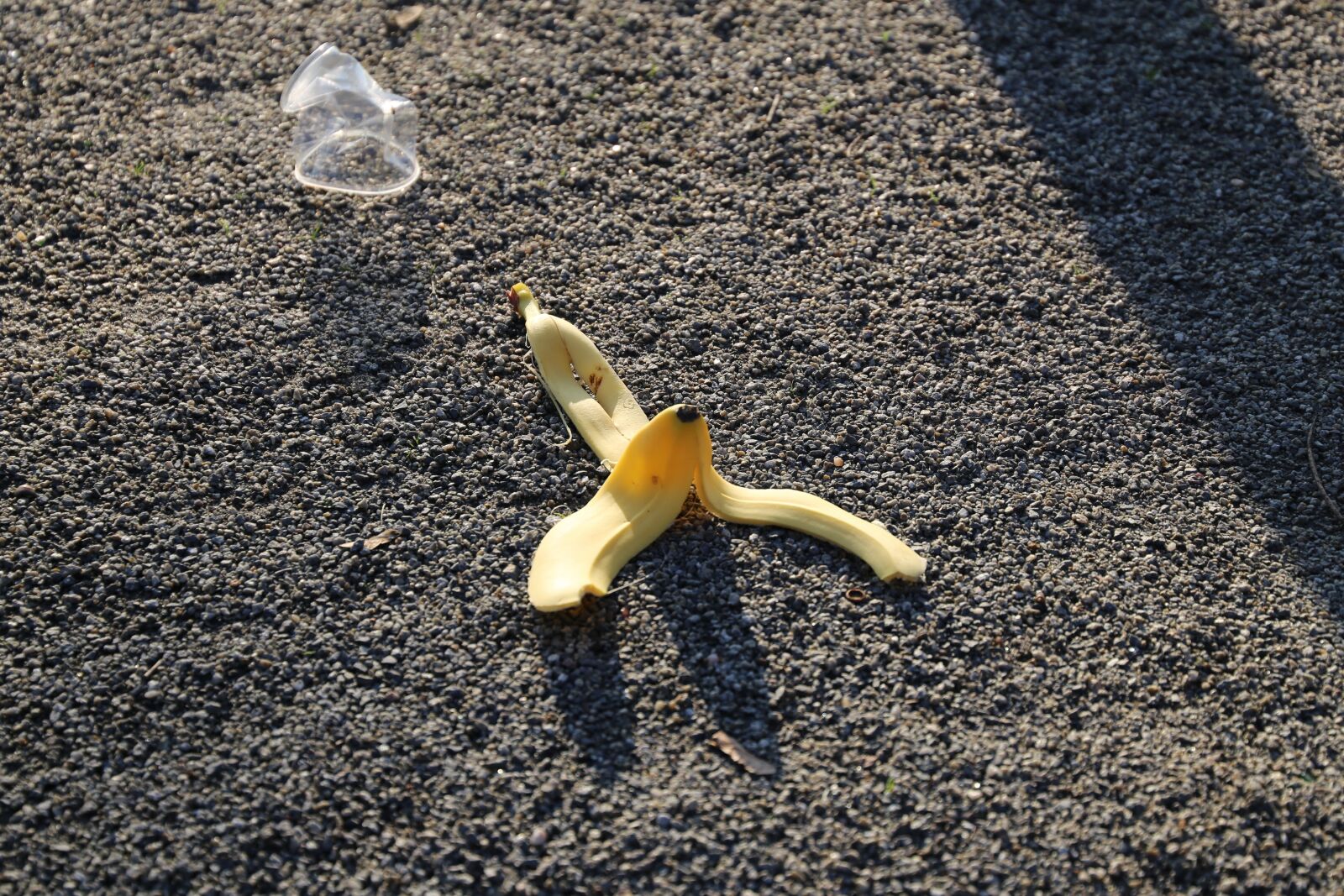 Canon EF 24-105mm F3.5-5.6 IS STM sample photo. Dirt, outside, banana photography