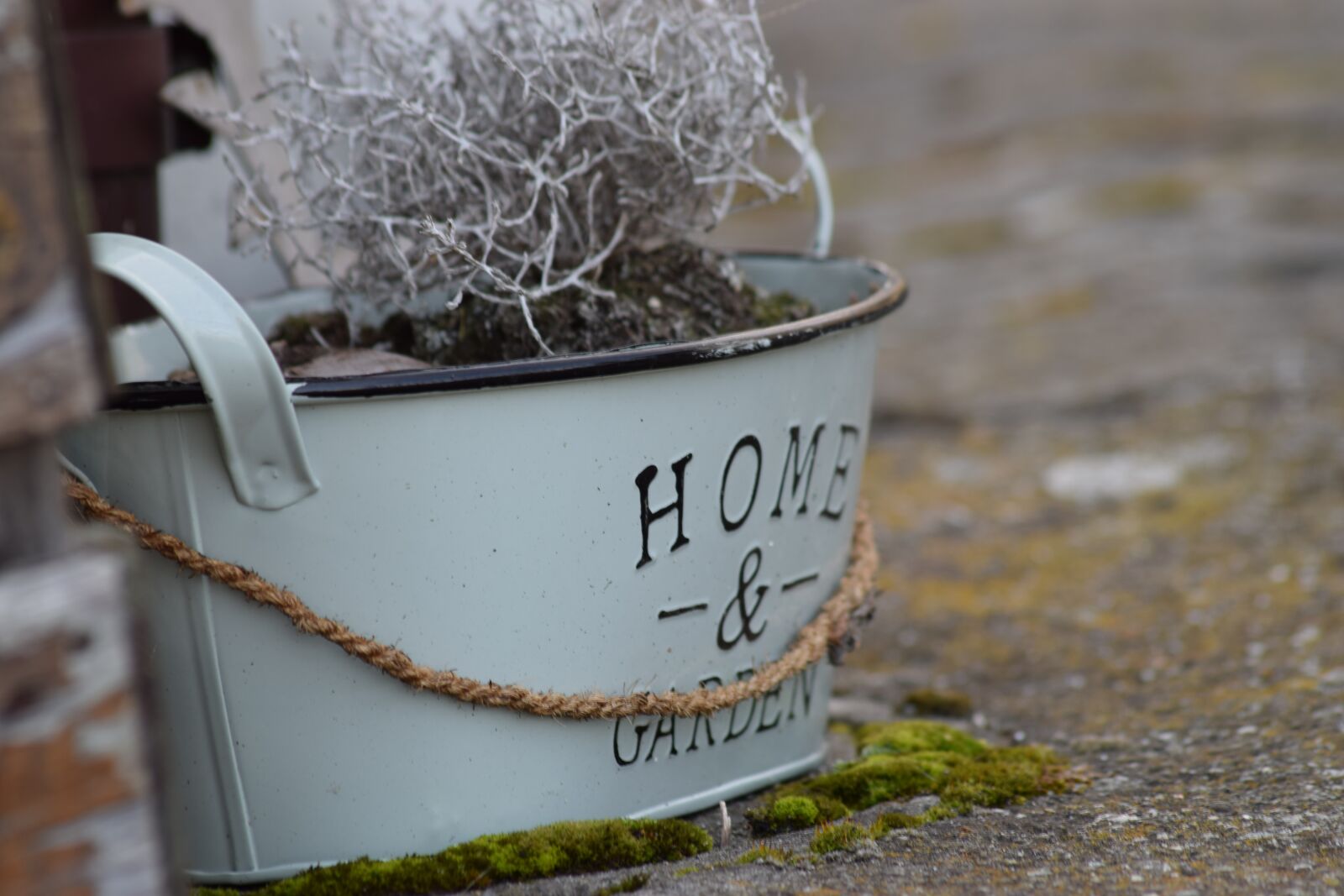 Nikon D3300 sample photo. Home garden, garden, garden photography