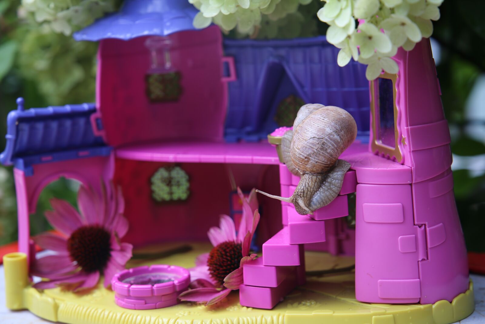 Canon EF 24-105mm F3.5-5.6 IS STM sample photo. Summer, snail, toy photography