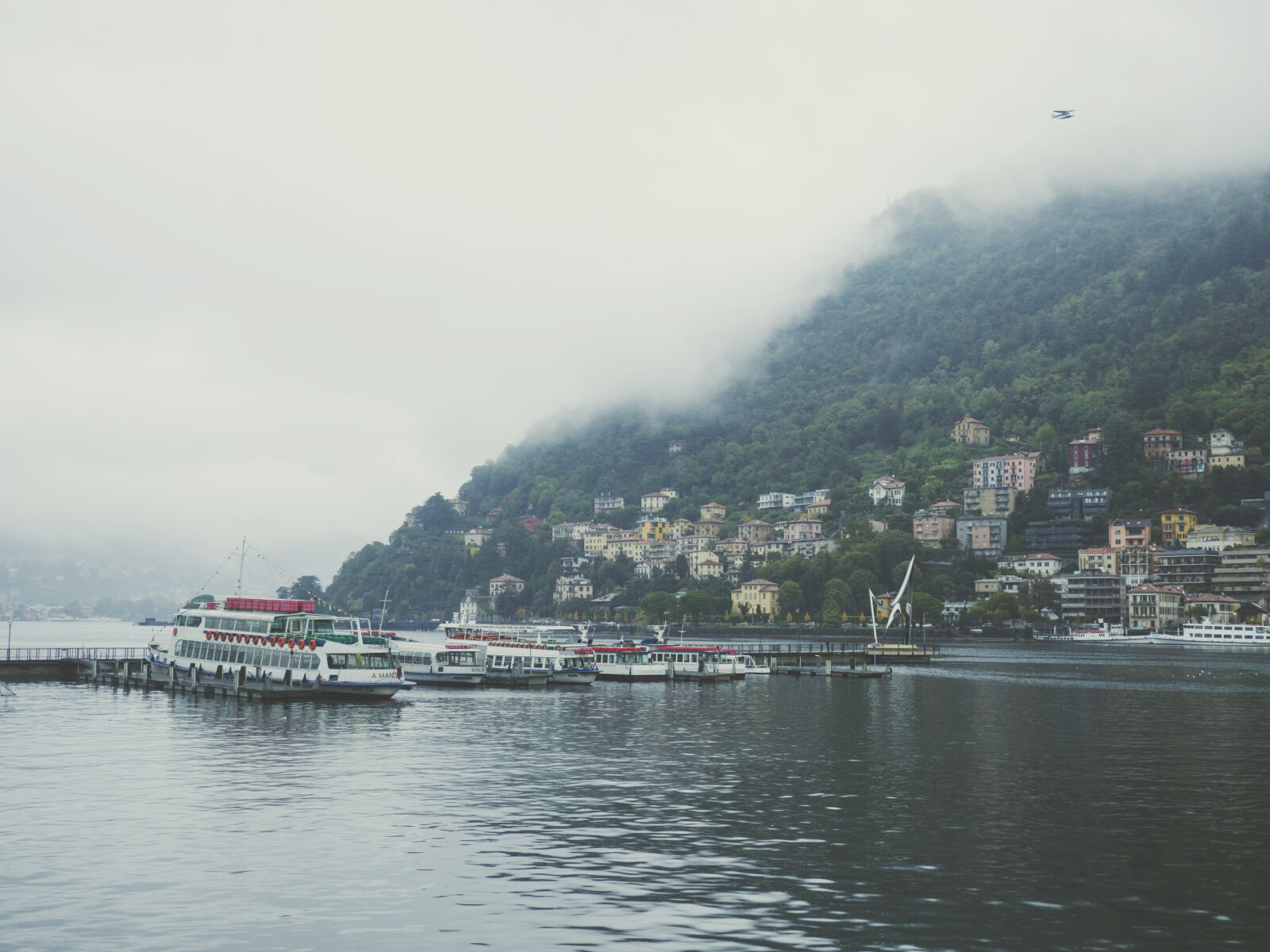 Olympus OM-D E-M10 II sample photo. Fog, foggy, forest, lake photography