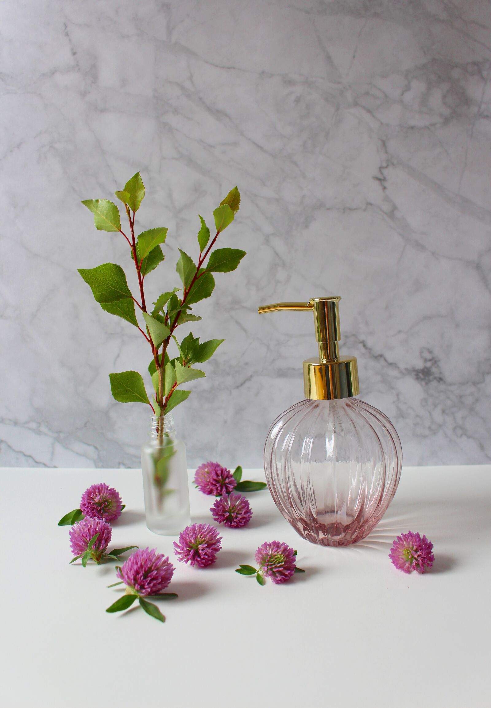 Canon EOS 700D (EOS Rebel T5i / EOS Kiss X7i) sample photo. Branch, leaves branch, vase photography