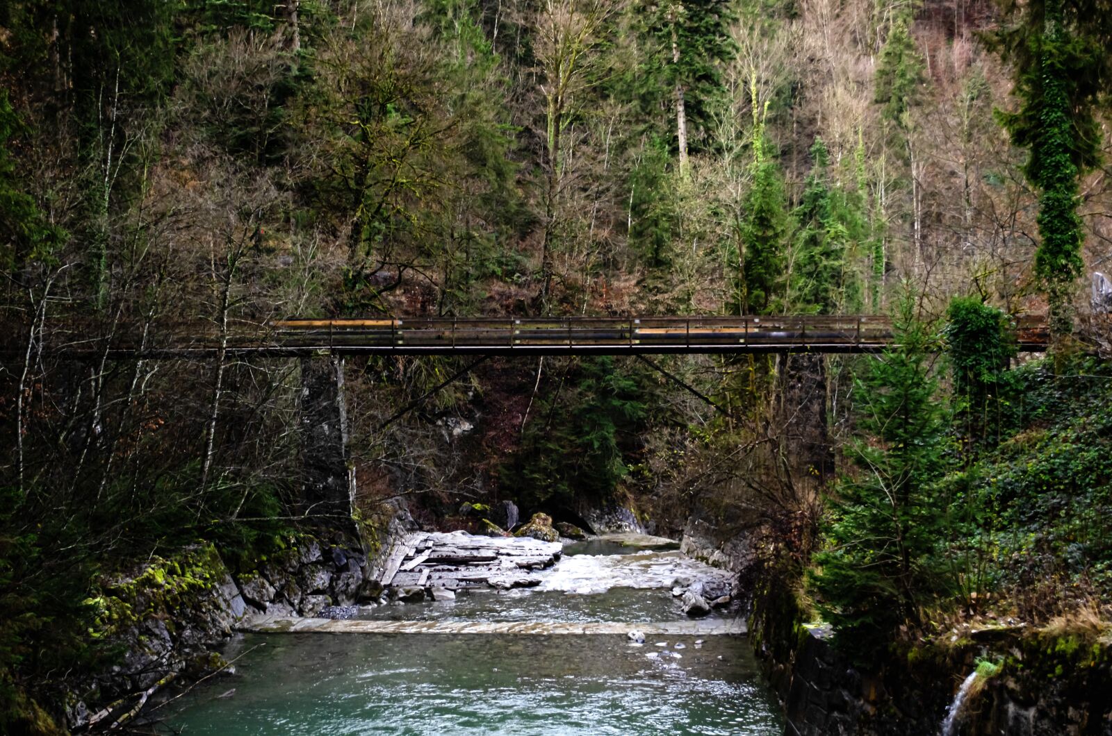 Nikon D7000 sample photo. Bridge, bridging, forest photography