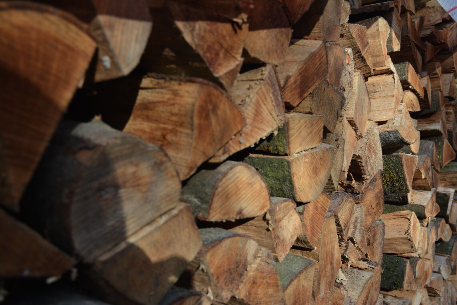 Nikon D7100 sample photo. Wood, holzstapel, firewood photography
