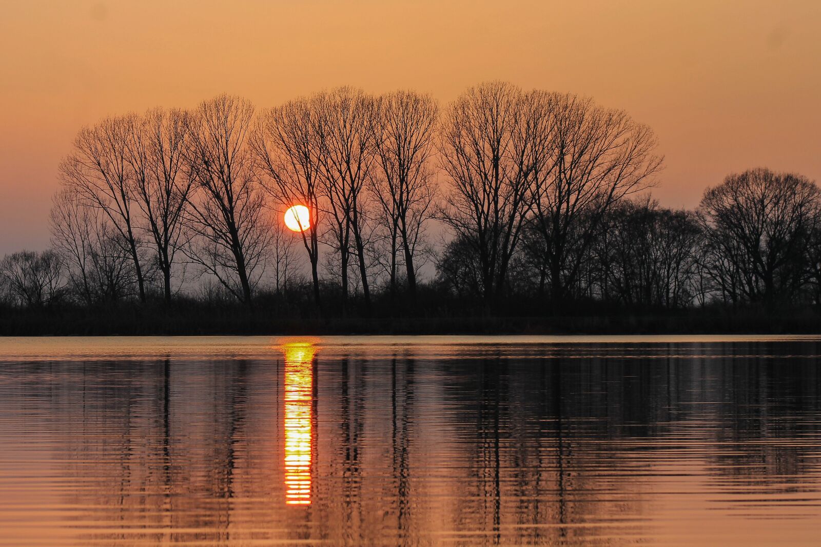 Canon EF75-300mm f/4-5.6 sample photo. Sunset, trees, water surface photography
