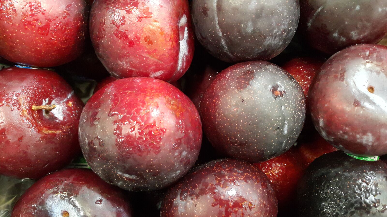 Samsung Galaxy Note4 sample photo. Plum, fruit, ummer photography
