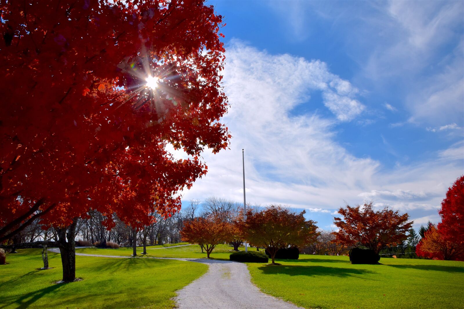 Nikon D3300 sample photo. Tree, field, sky photography