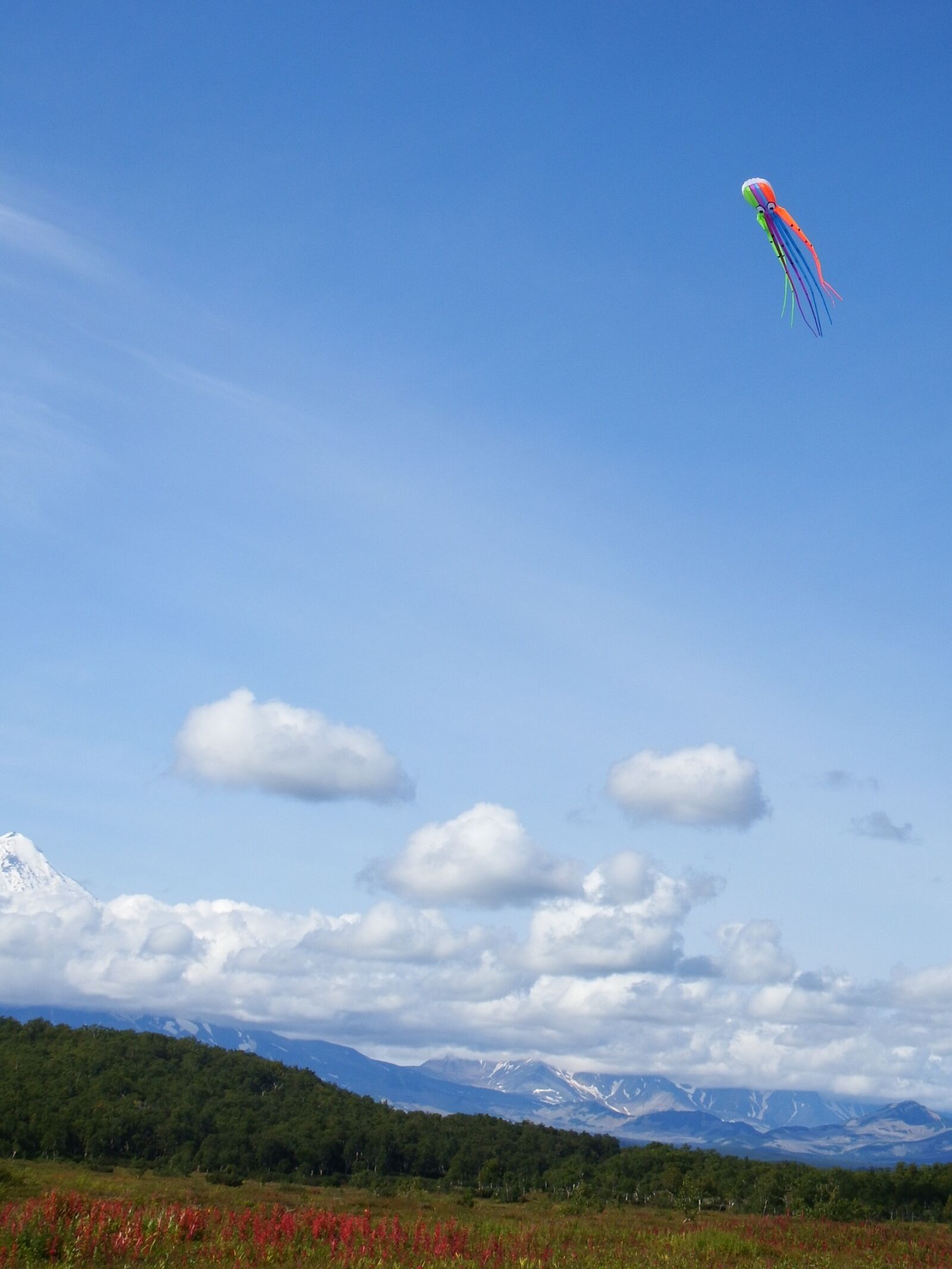 Fujifilm FinePix S1 sample photo. Sky, clouds, kite photography