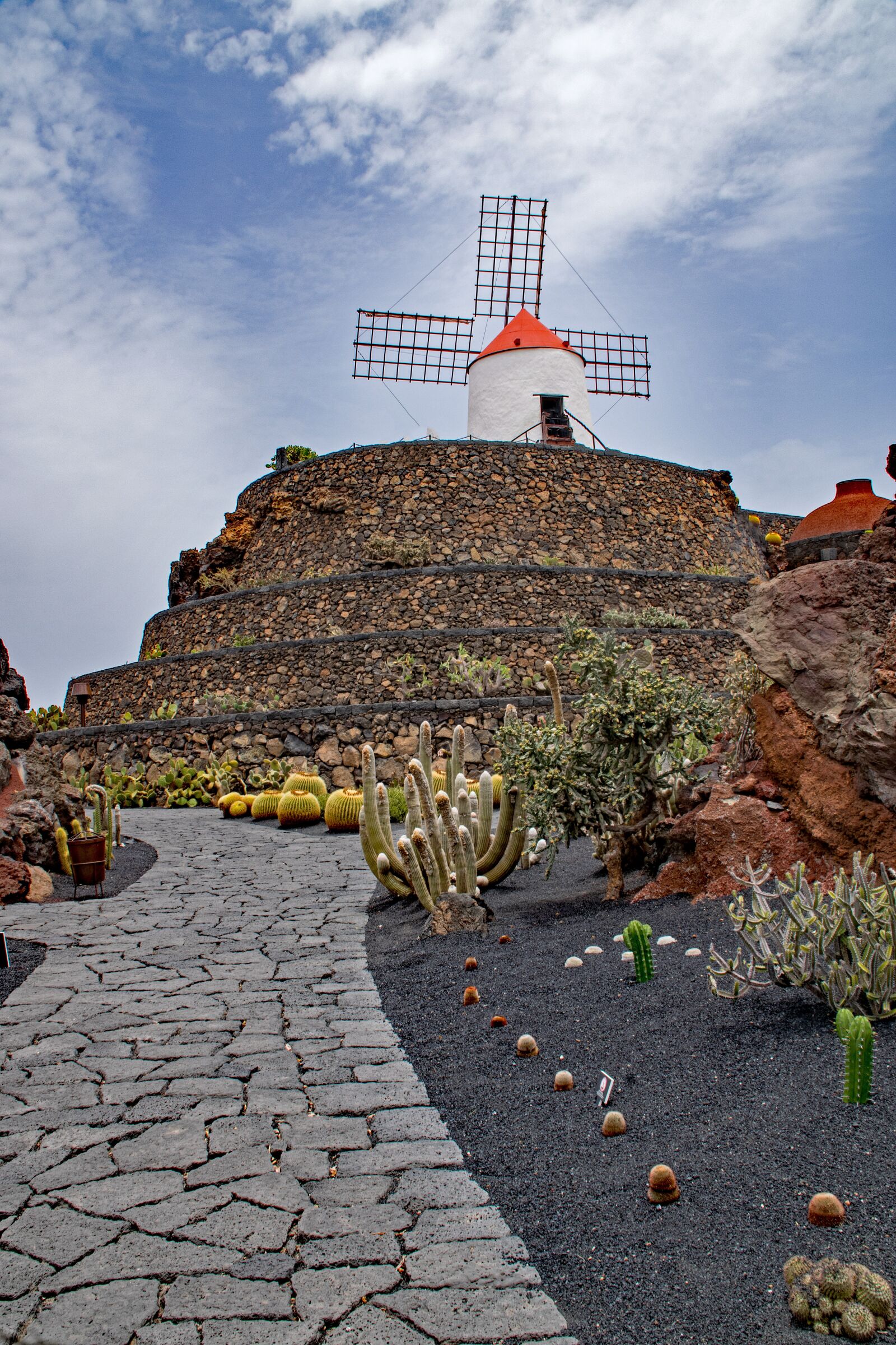 Nikon D5300 sample photo. Jardin de cactus, cactus photography