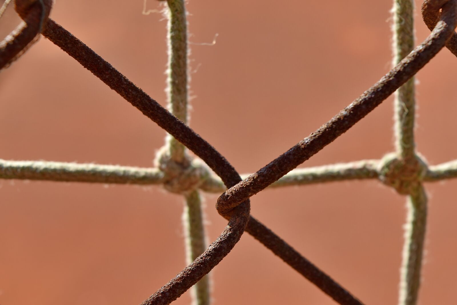Nikon D5500 sample photo. Iron, material, rust, wire photography