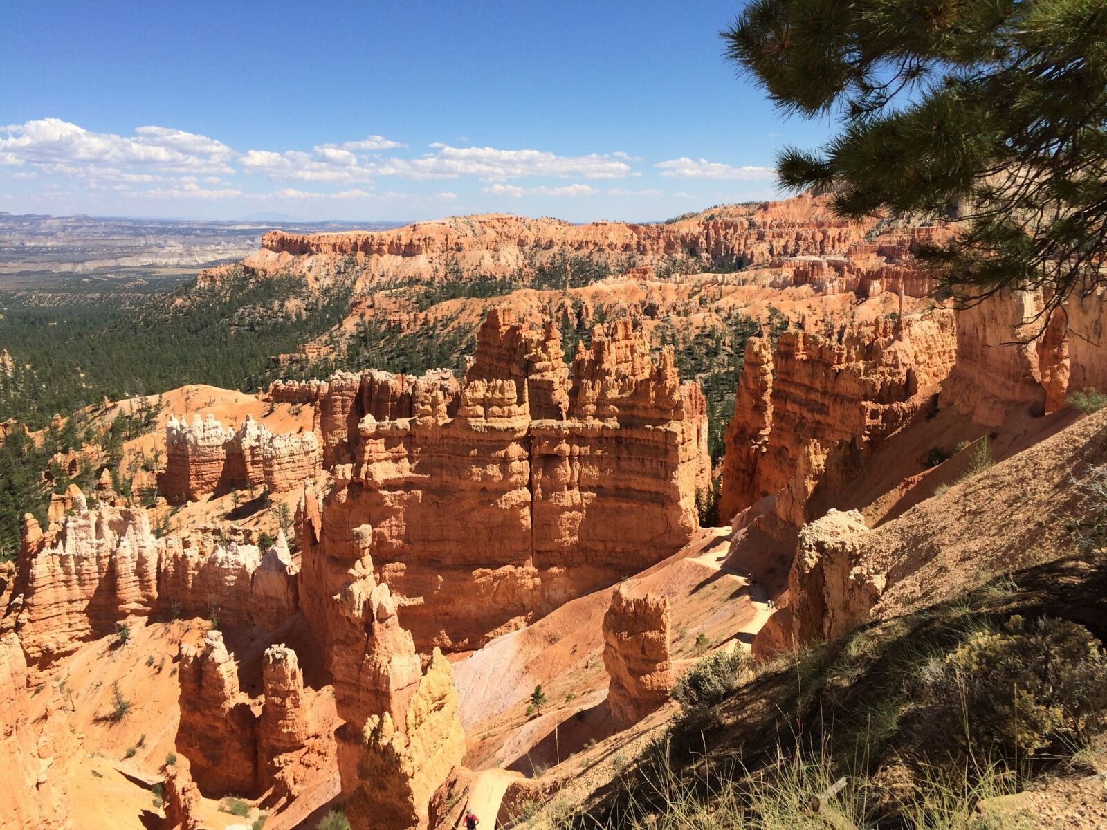 iPhone 5s back camera 4.12mm f/2.2 sample photo. Hoodoos, bryce canyon, bryce photography