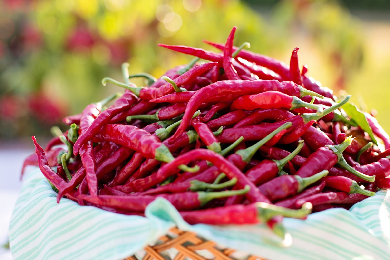 Canon EF 50mm F1.4 USM sample photo. Cayenne peppers, red peppers photography