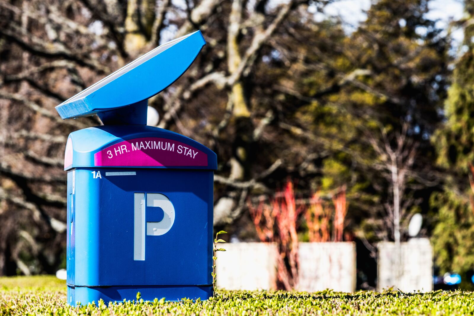Nikon D750 sample photo. P, parking, solar photography