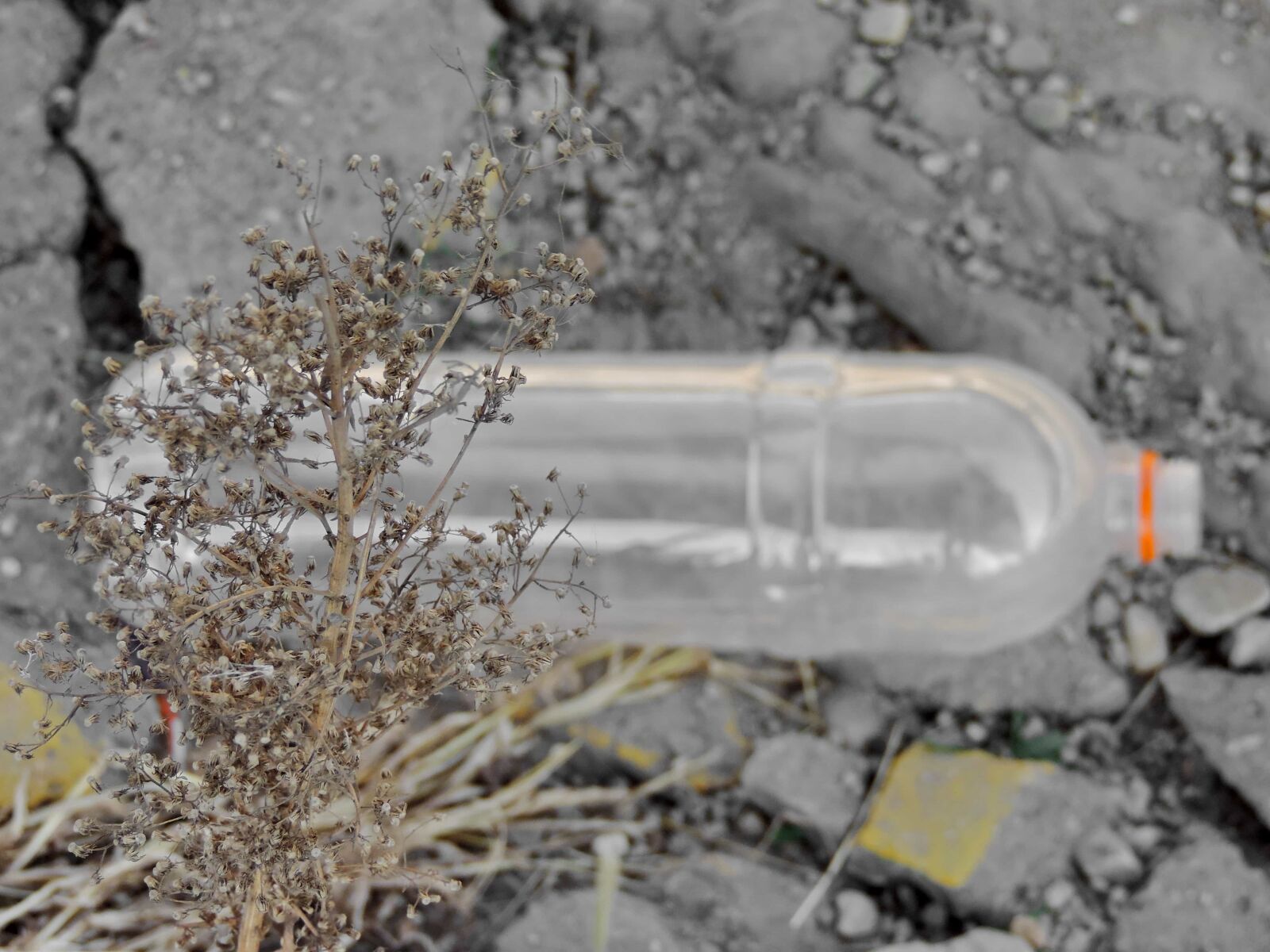 Nikon Coolpix P520 sample photo. Dry season, ecology, garbage photography