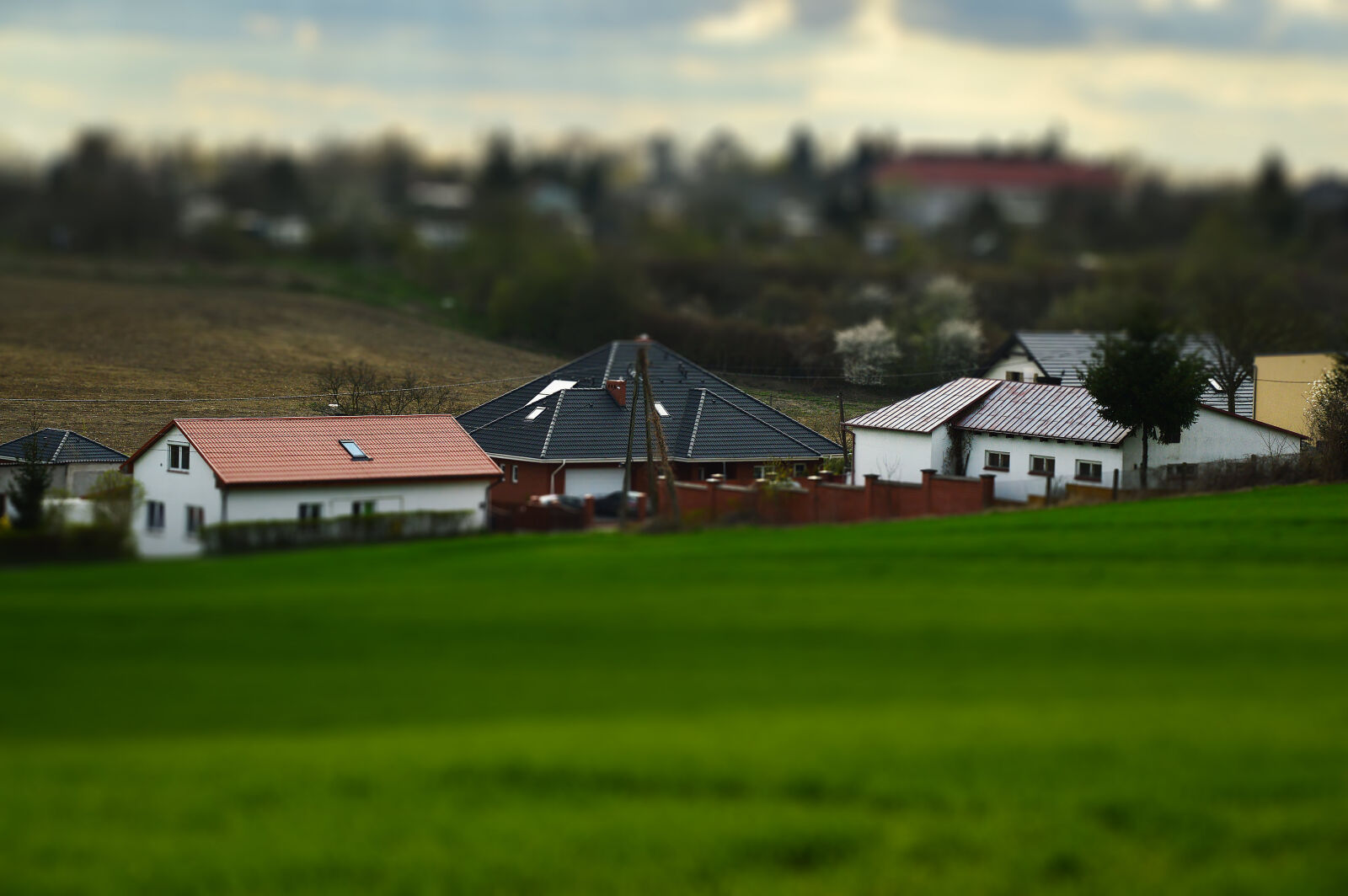 Nikon D3200 sample photo