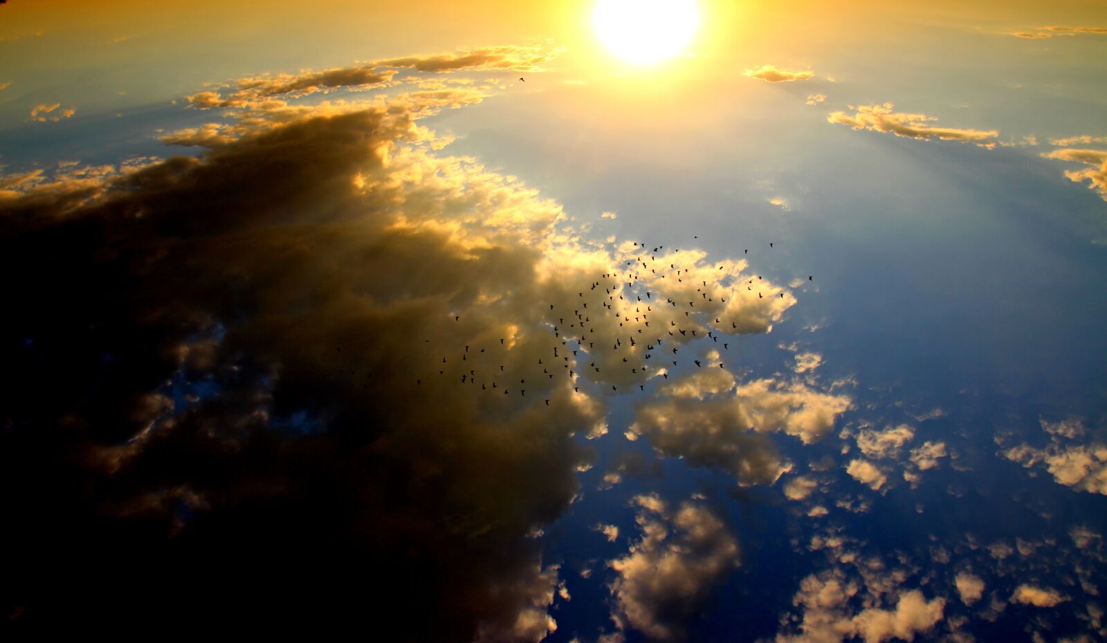 Canon EOS 700D (EOS Rebel T5i / EOS Kiss X7i) sample photo. Sunset, birds, cloud photography