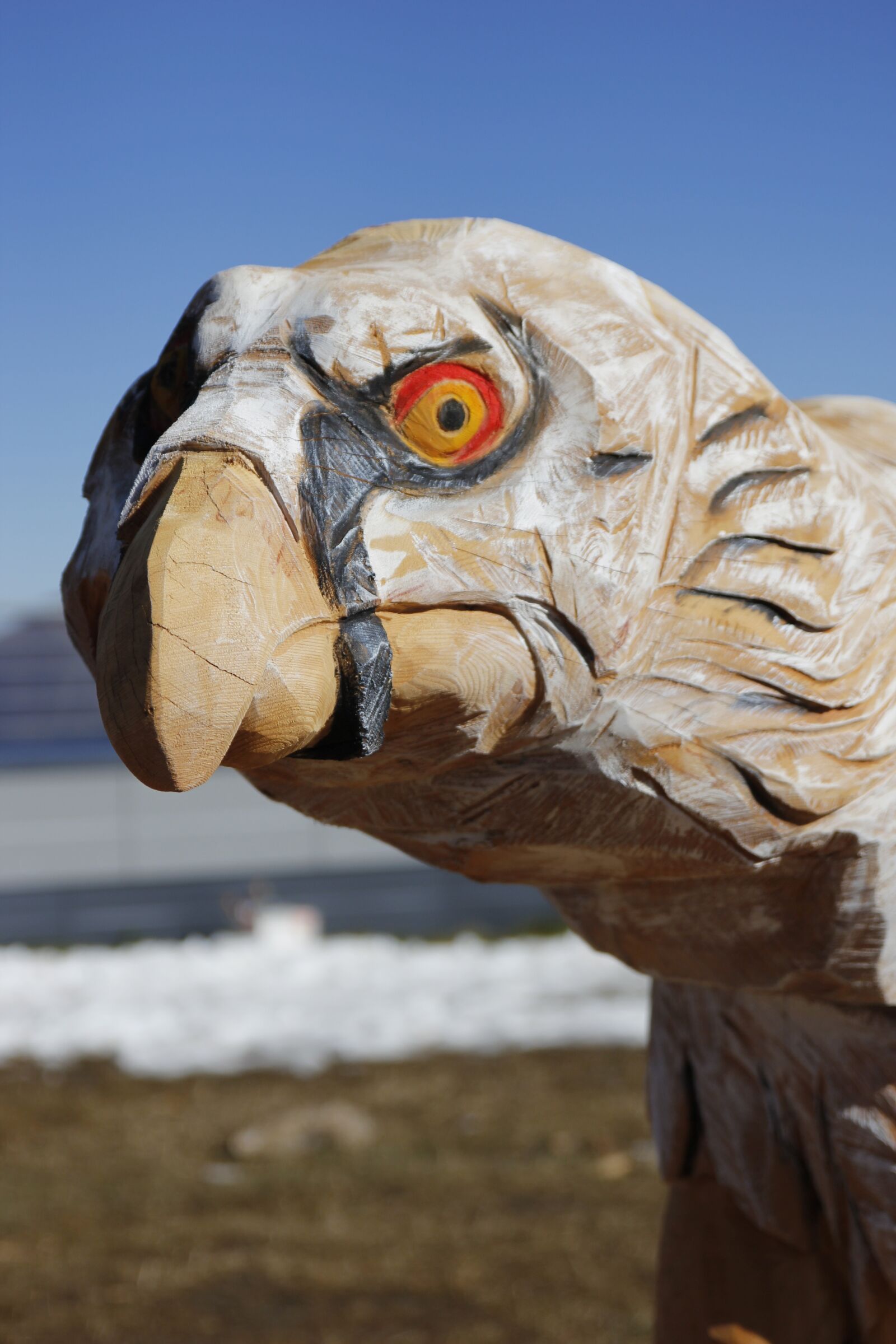 Canon EOS 60D sample photo. Nature, animal, animal world photography