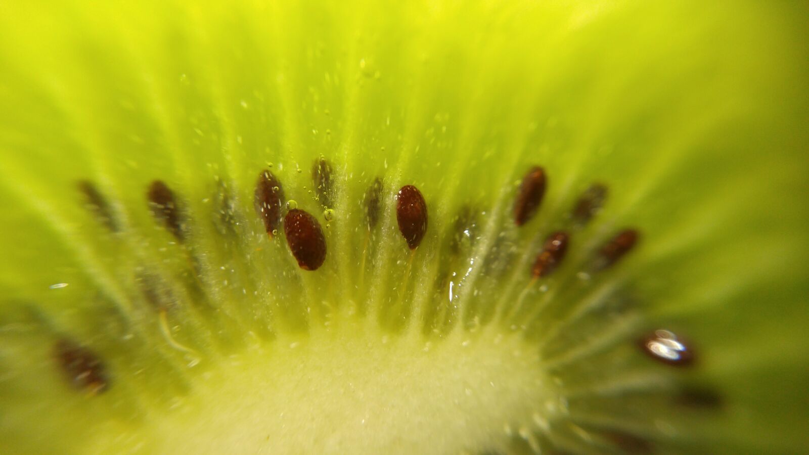 LG G4 sample photo. Kiwi, fruit, green photography