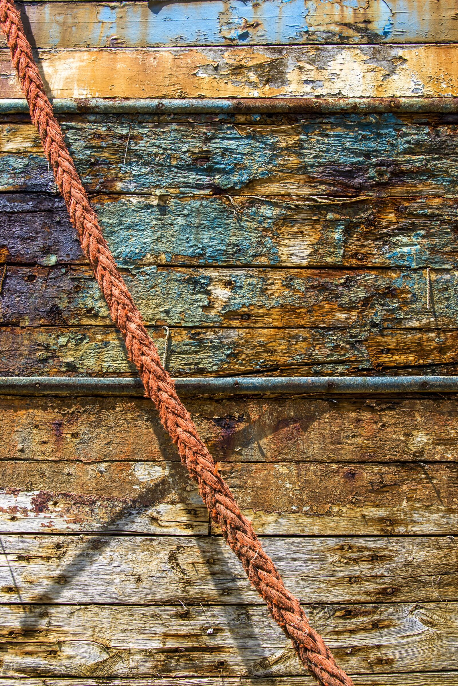 Nikon D610 sample photo. Texture, wood, peeling paint photography