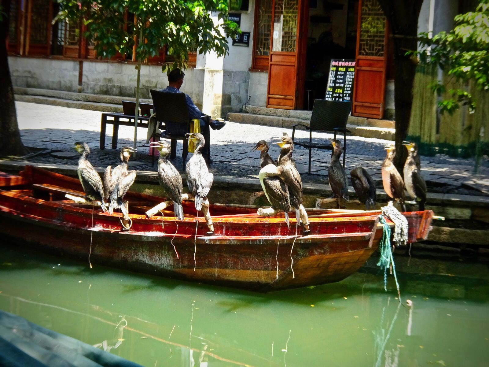 Sony Cyber-shot DSC-HX90V sample photo. Cormorants, birds, water photography