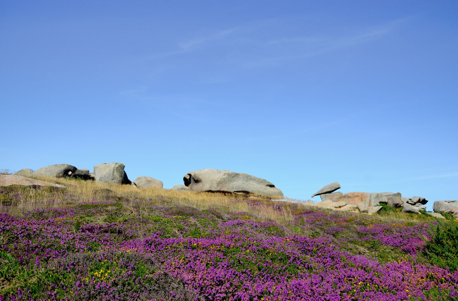 Nikon D7000 sample photo. Perros-guirec, pink granite, britain photography