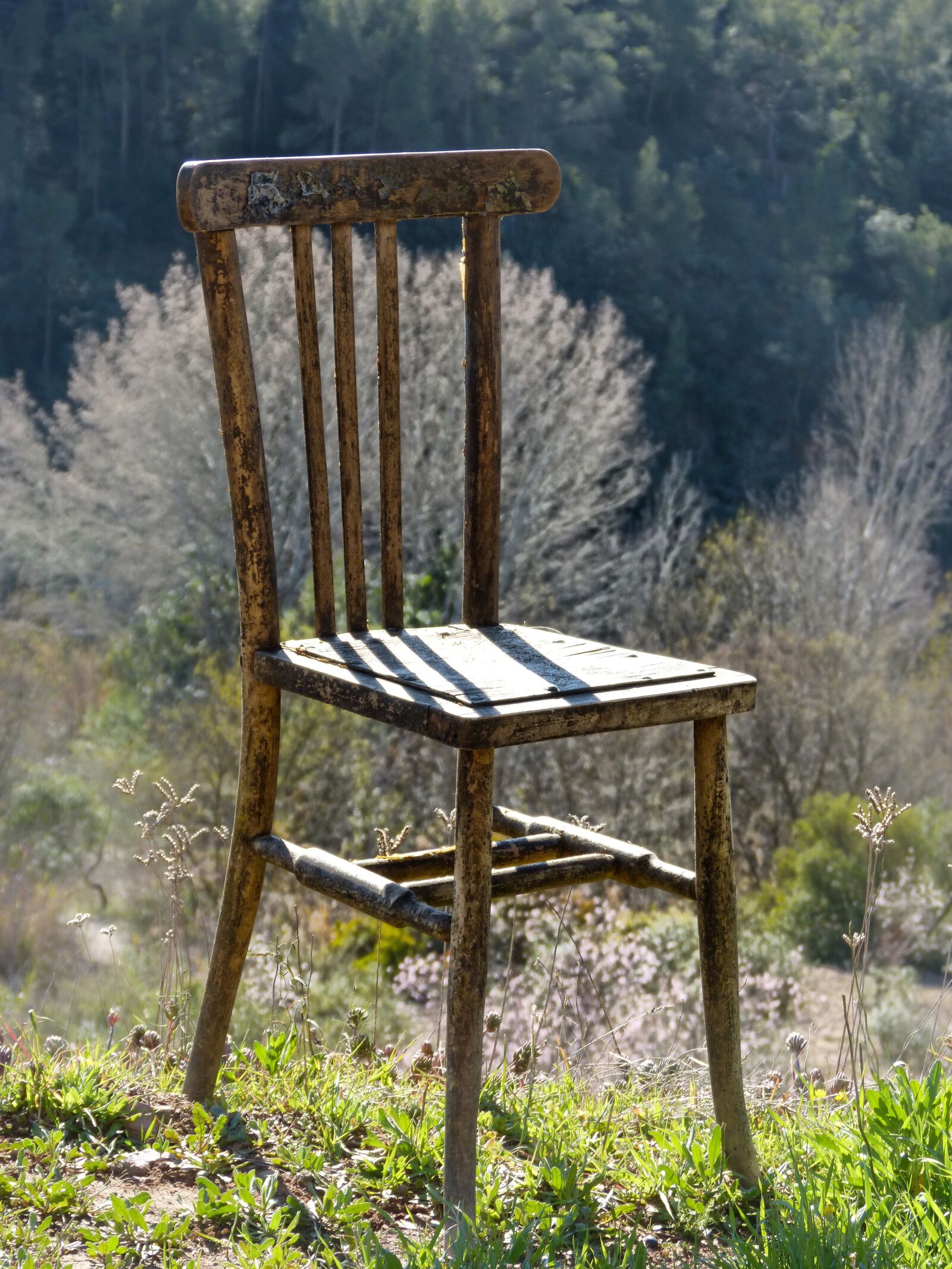 Panasonic DMC-FZ62 sample photo. Chair, old, garlic sauce photography