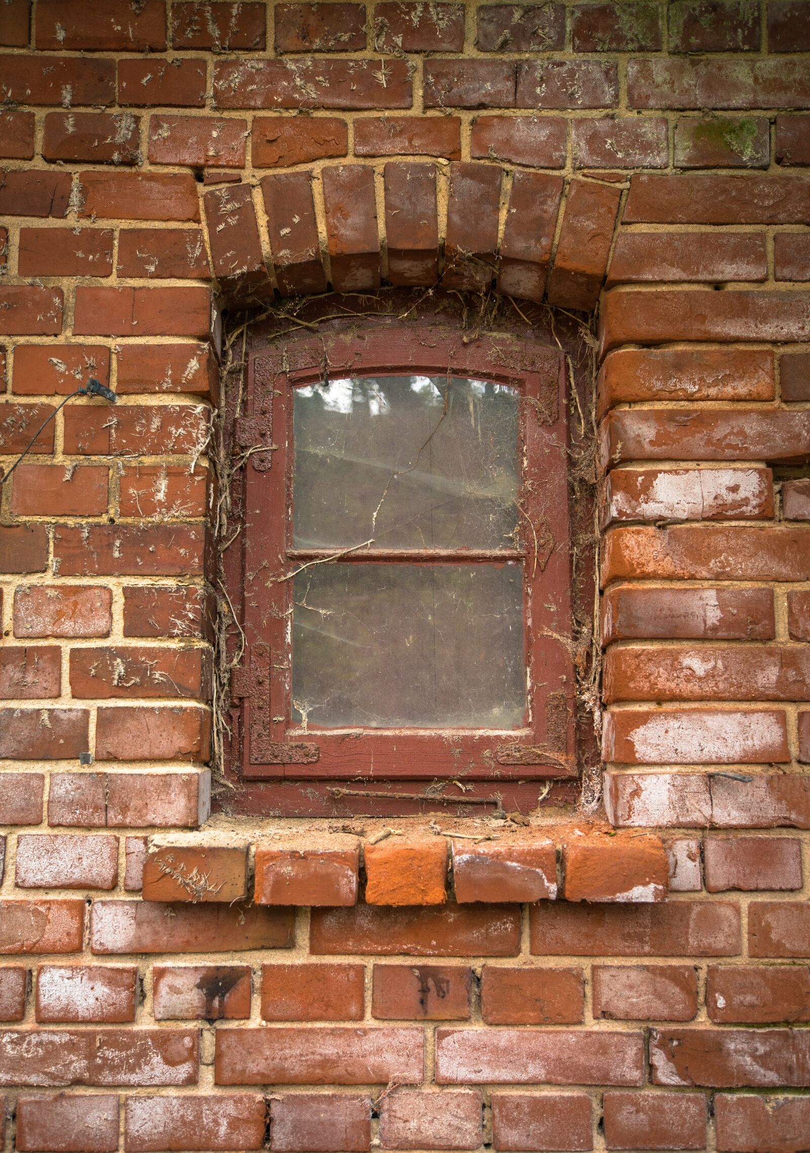 Sony a7S II + Sony DT 50mm F1.8 SAM sample photo. Window, wall, old photography