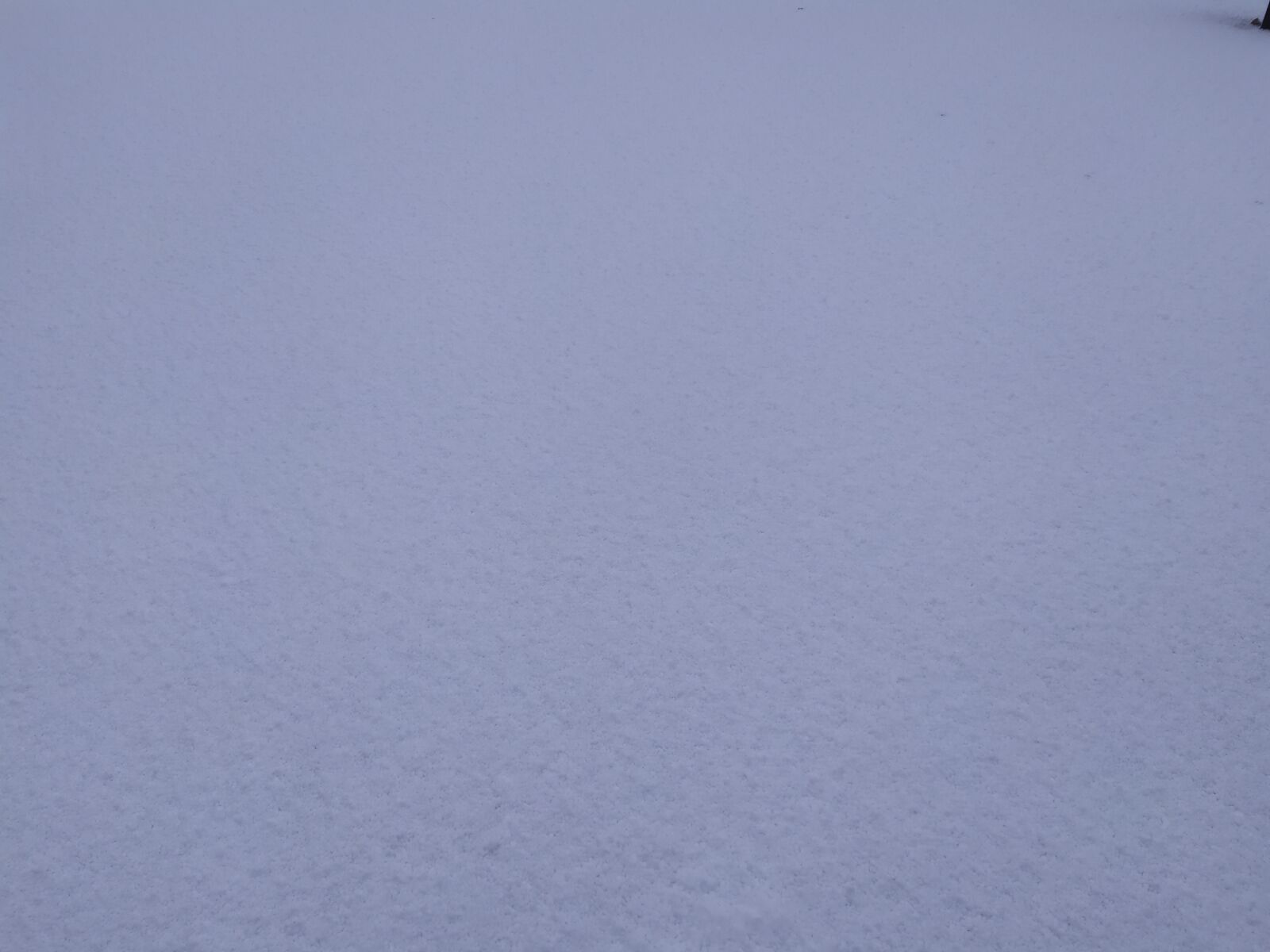Xiaomi Redmi Note 7 sample photo. Background, snow, winter photography