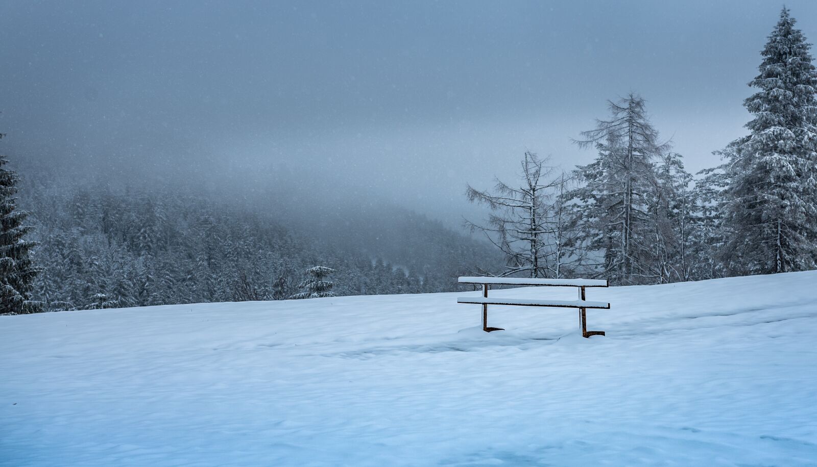 Nikon D750 sample photo. Black forest, winter mood photography