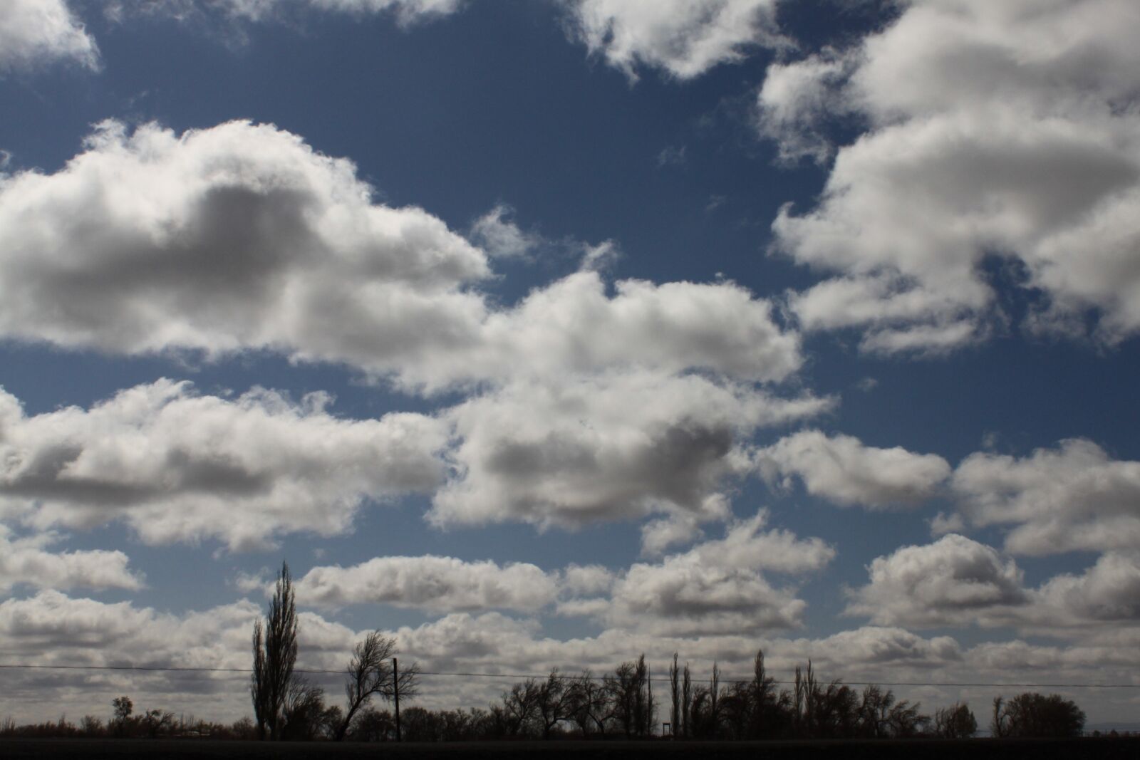 Canon EOS 500D (EOS Rebel T1i / EOS Kiss X3) sample photo. Blue sky, cloud, sunny photography