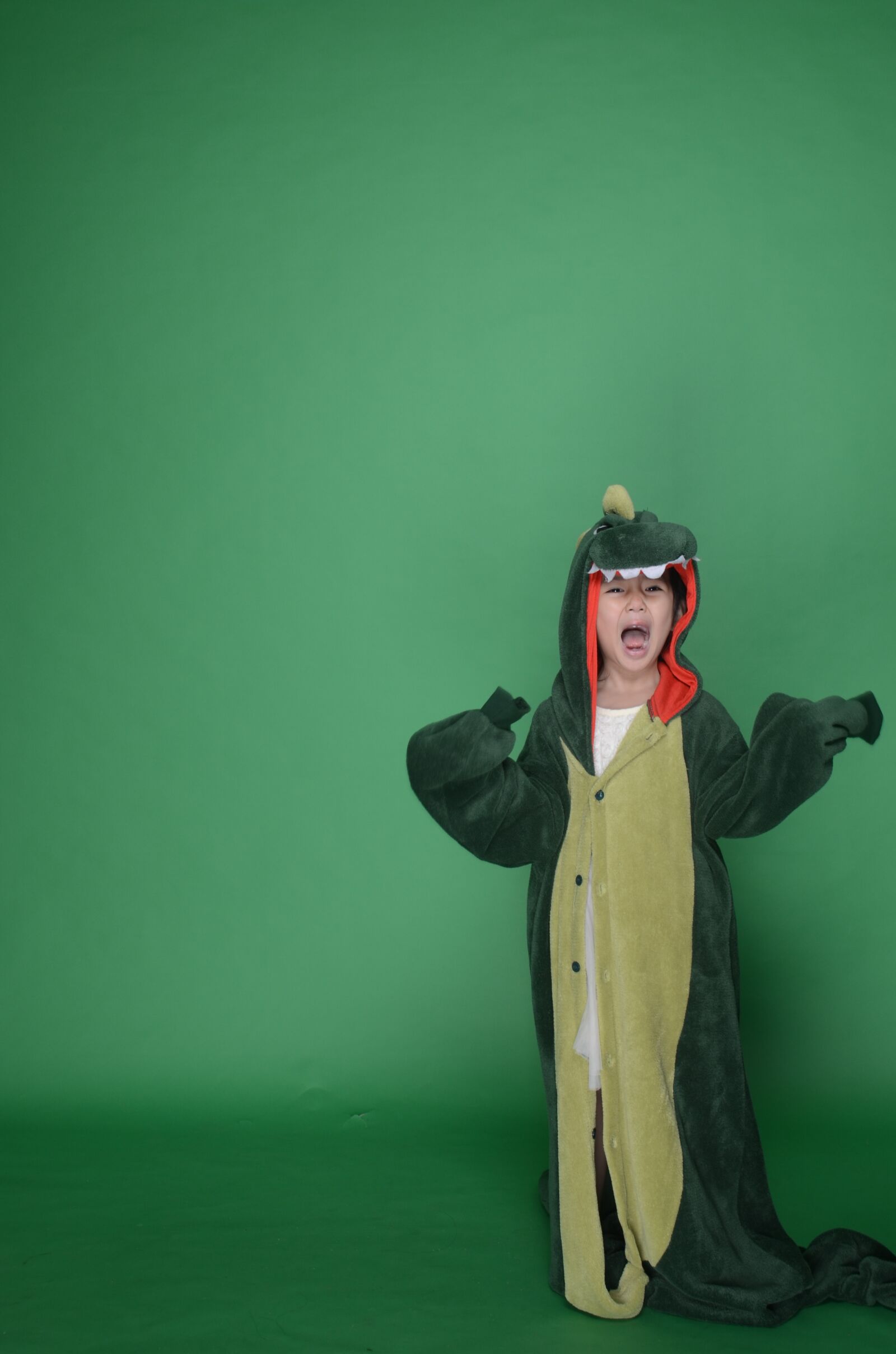 Nikon D5100 sample photo. Dinosaur, green, cute photography