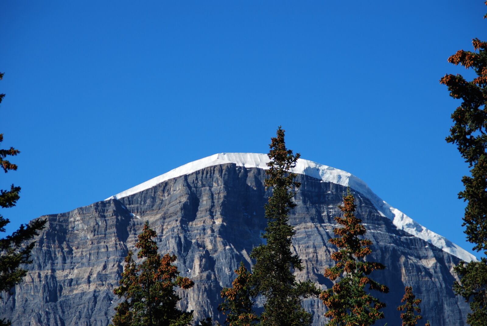 Nikon D60 sample photo. Snow, mountain, landscape photography