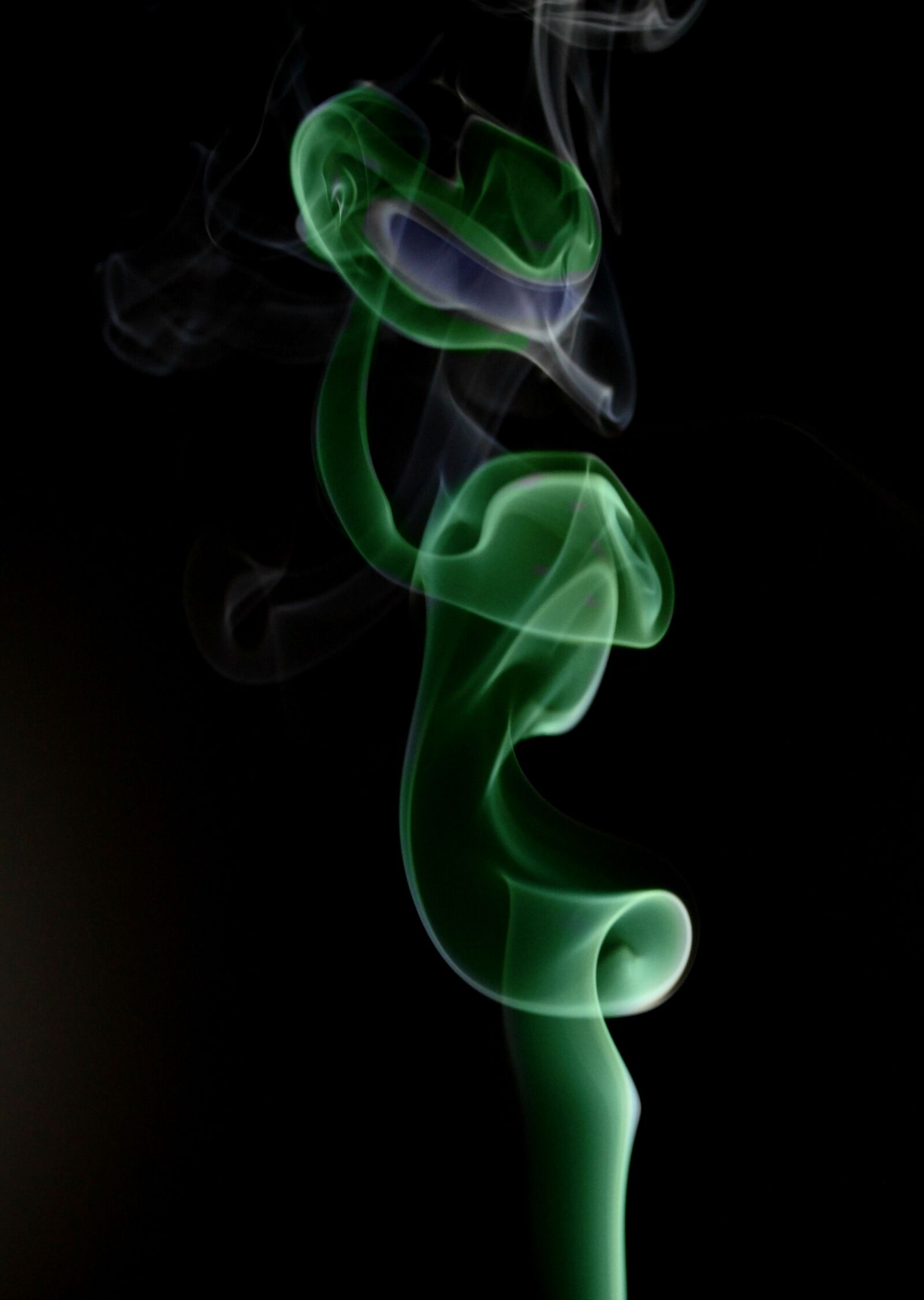 Canon EF-S 60mm F2.8 Macro USM sample photo. Alien, smoke, green photography